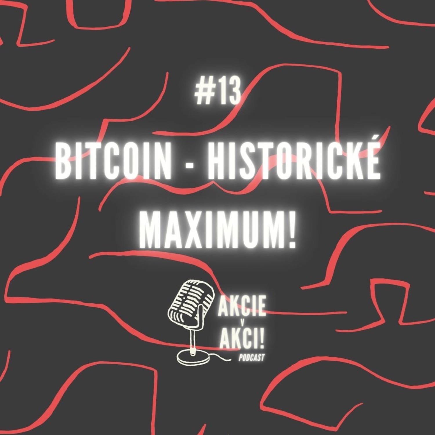 #13 BITCOIN - HISTORICKÉ MAXIMUM!