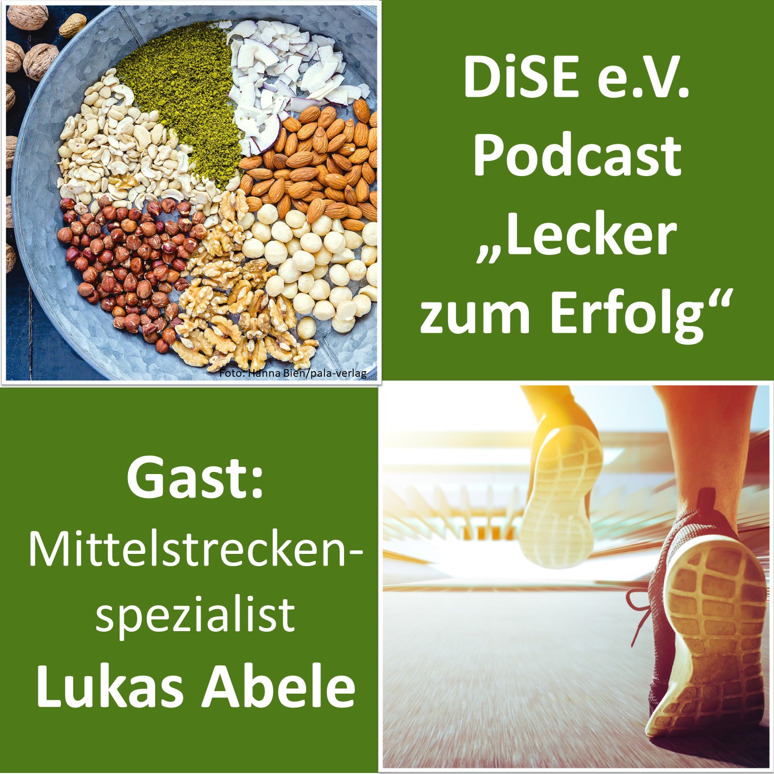 Deutsches Institut für Sporternährung e.V. (DiSE) Podcast