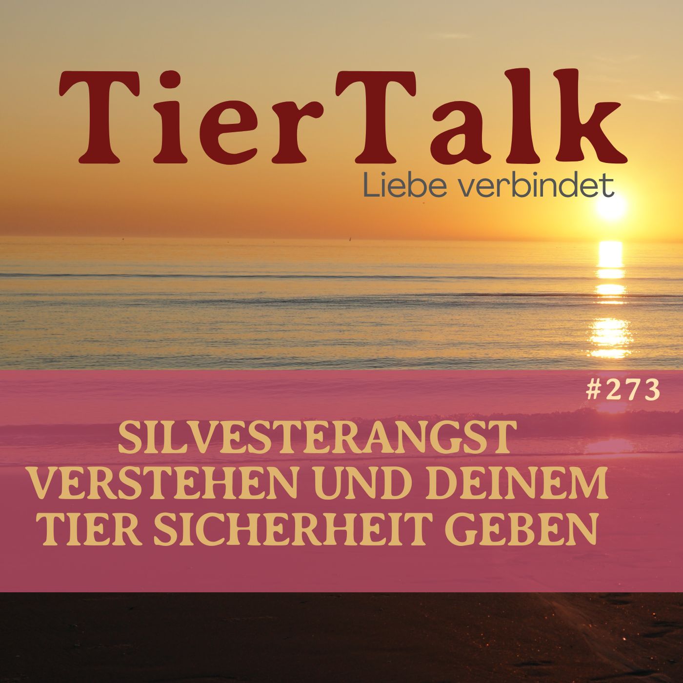 273. Silvesterangst bei Tieren