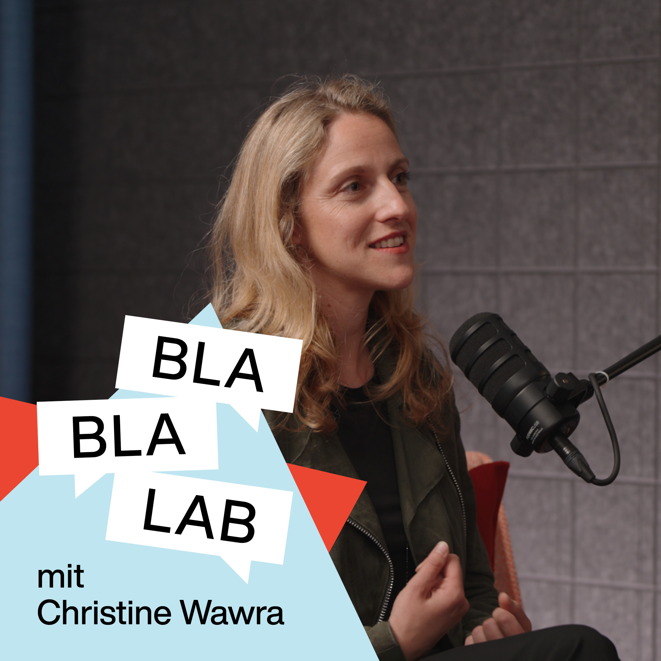 Christine Wawra: Warum kann man Unternehmen systemisch betrachtet nicht führen – sondern nur stören? episode artwork