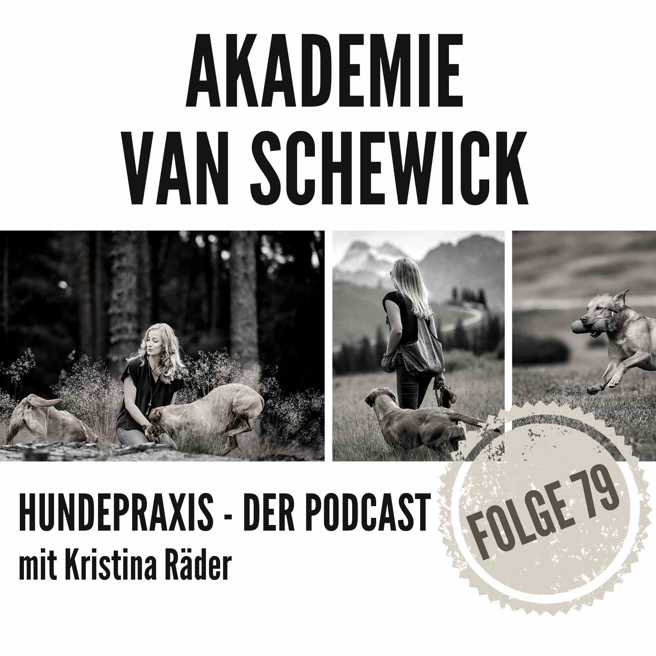 Hundepraxis - der Podcast