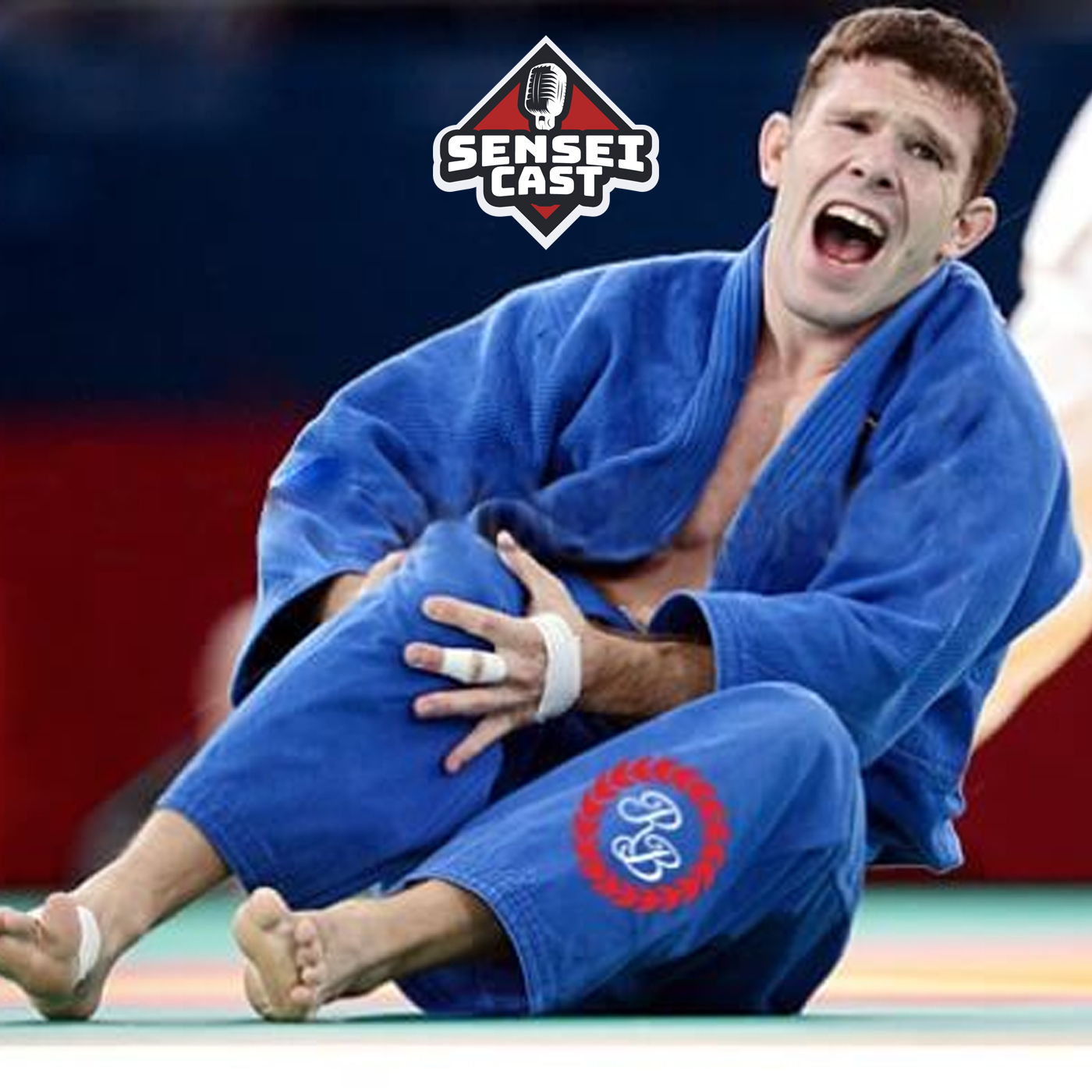 Saiba como prevenir lesões nas artes marciais