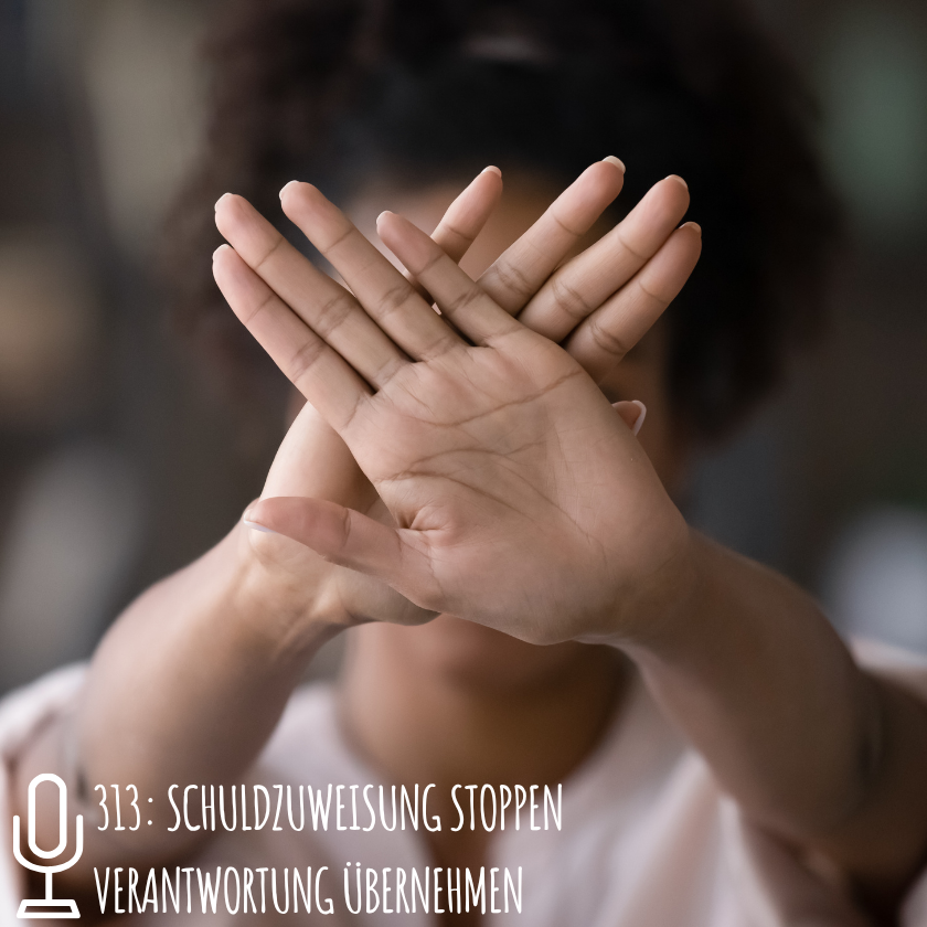 313: Schuldzuweisung stoppen – Verantwortung übernehmen