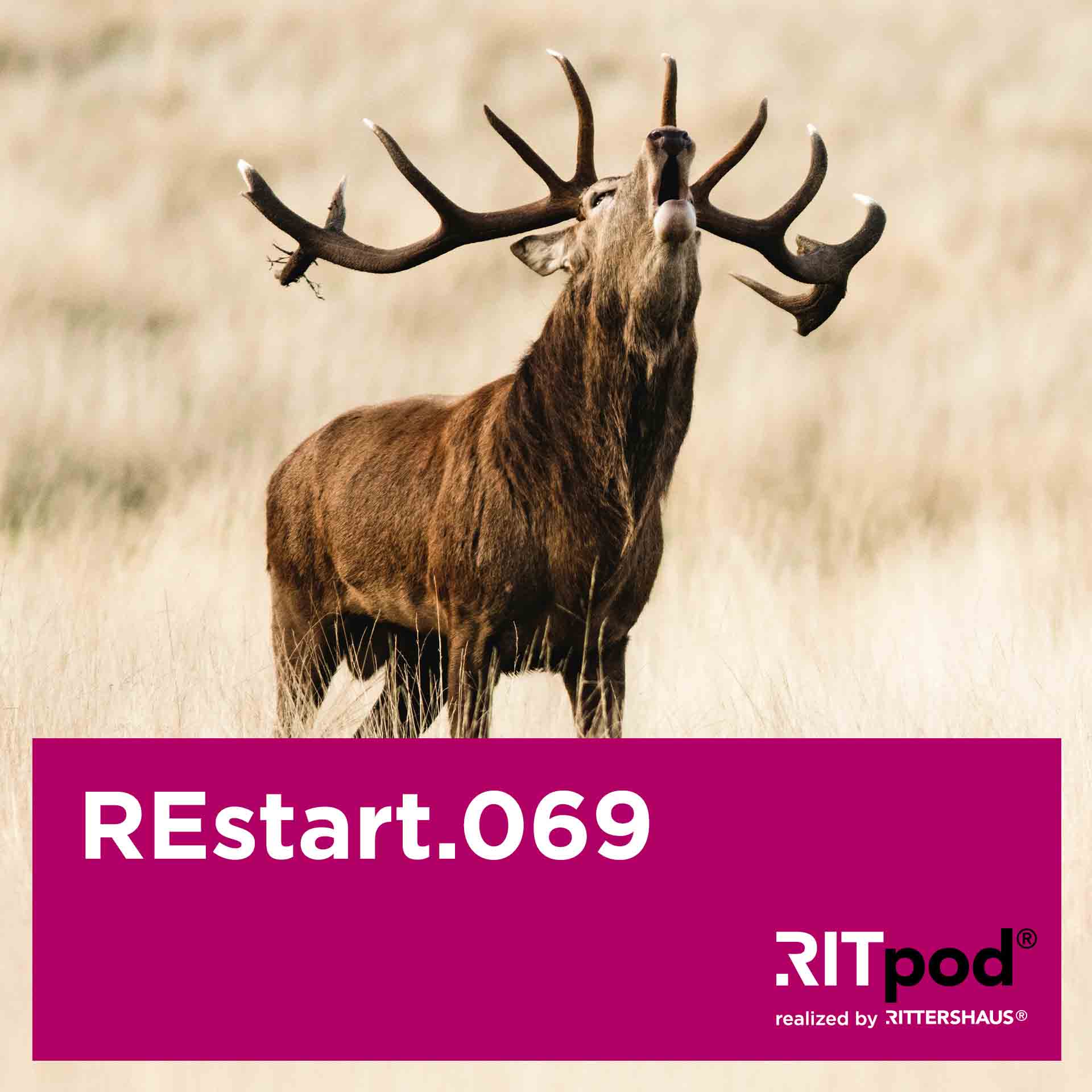 REstart - Legal Insights zur Sanierung von Unternehmen