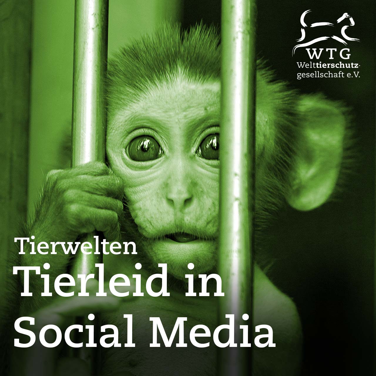 Tierwelten