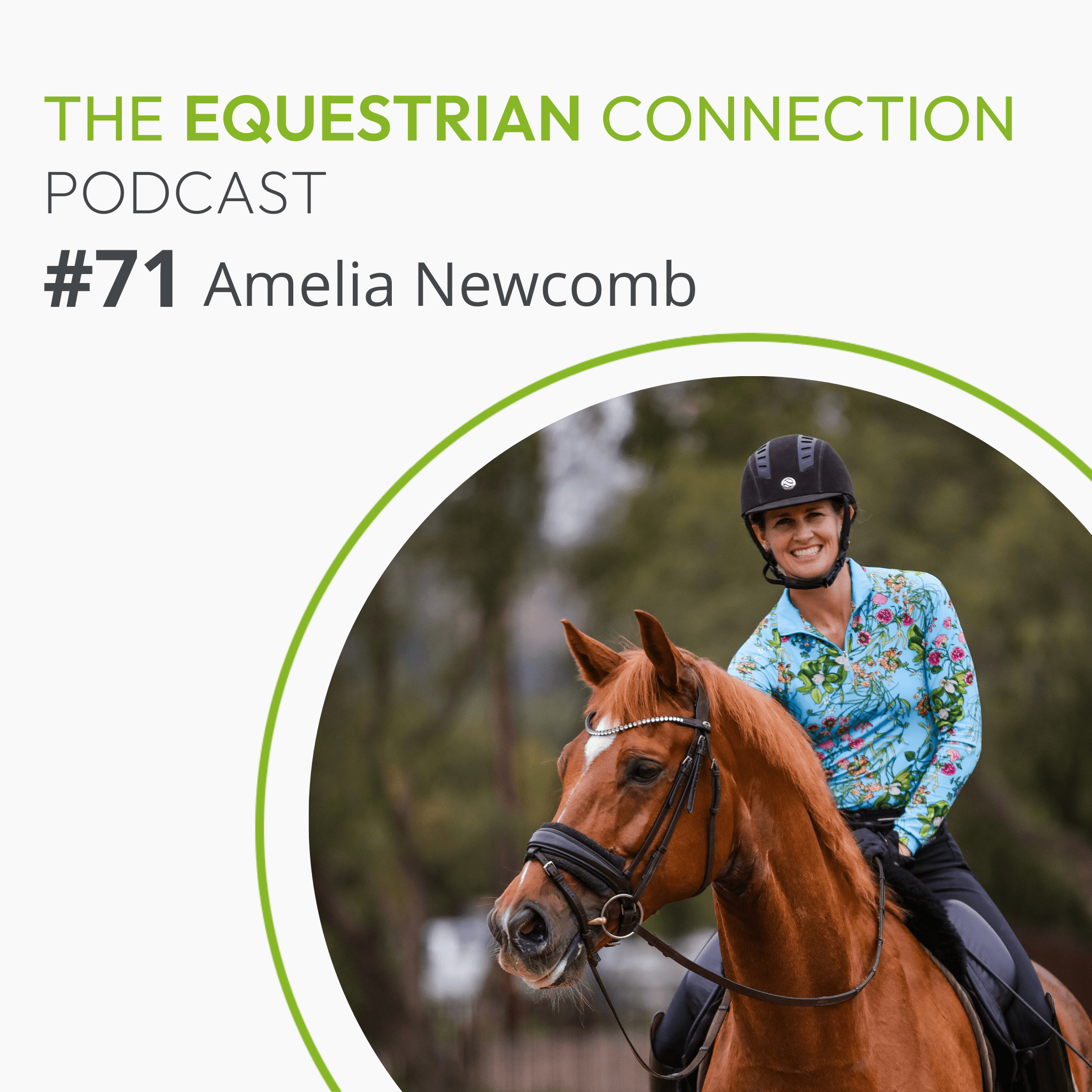 The Equestrian Connection