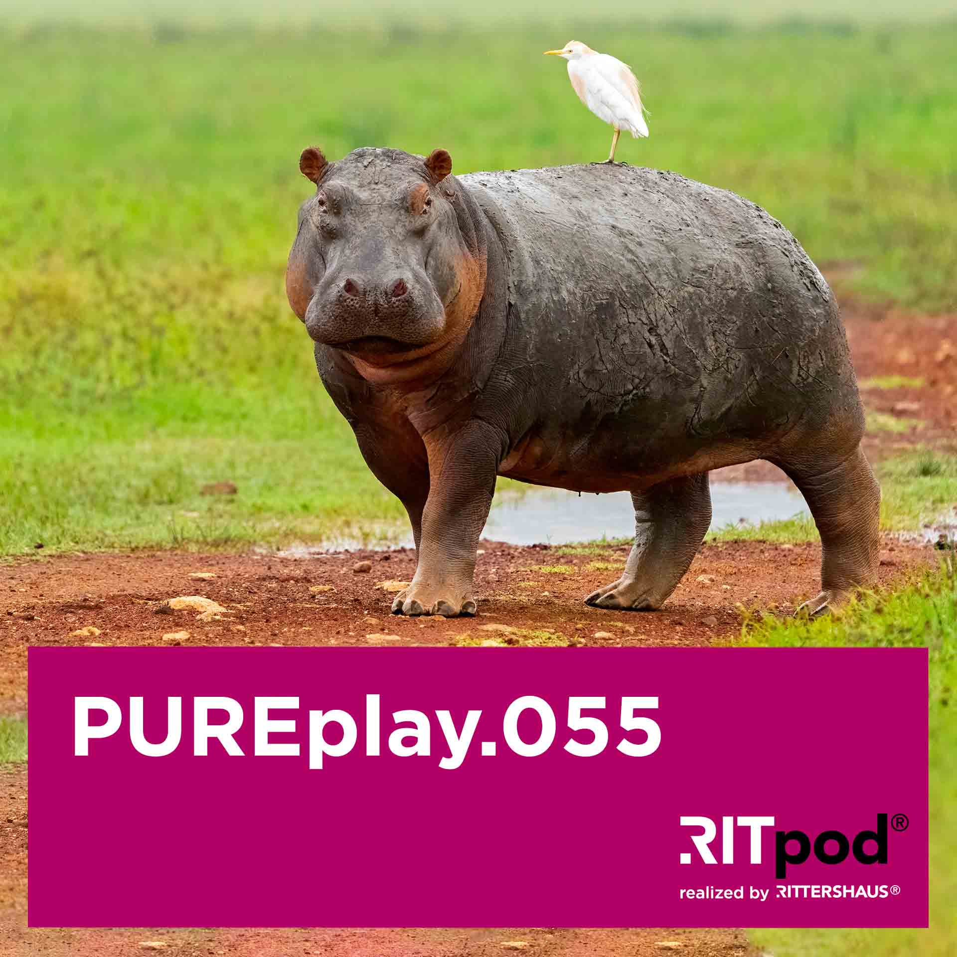 PUREplay – Legal Insights für Start-Ups und eCommerce