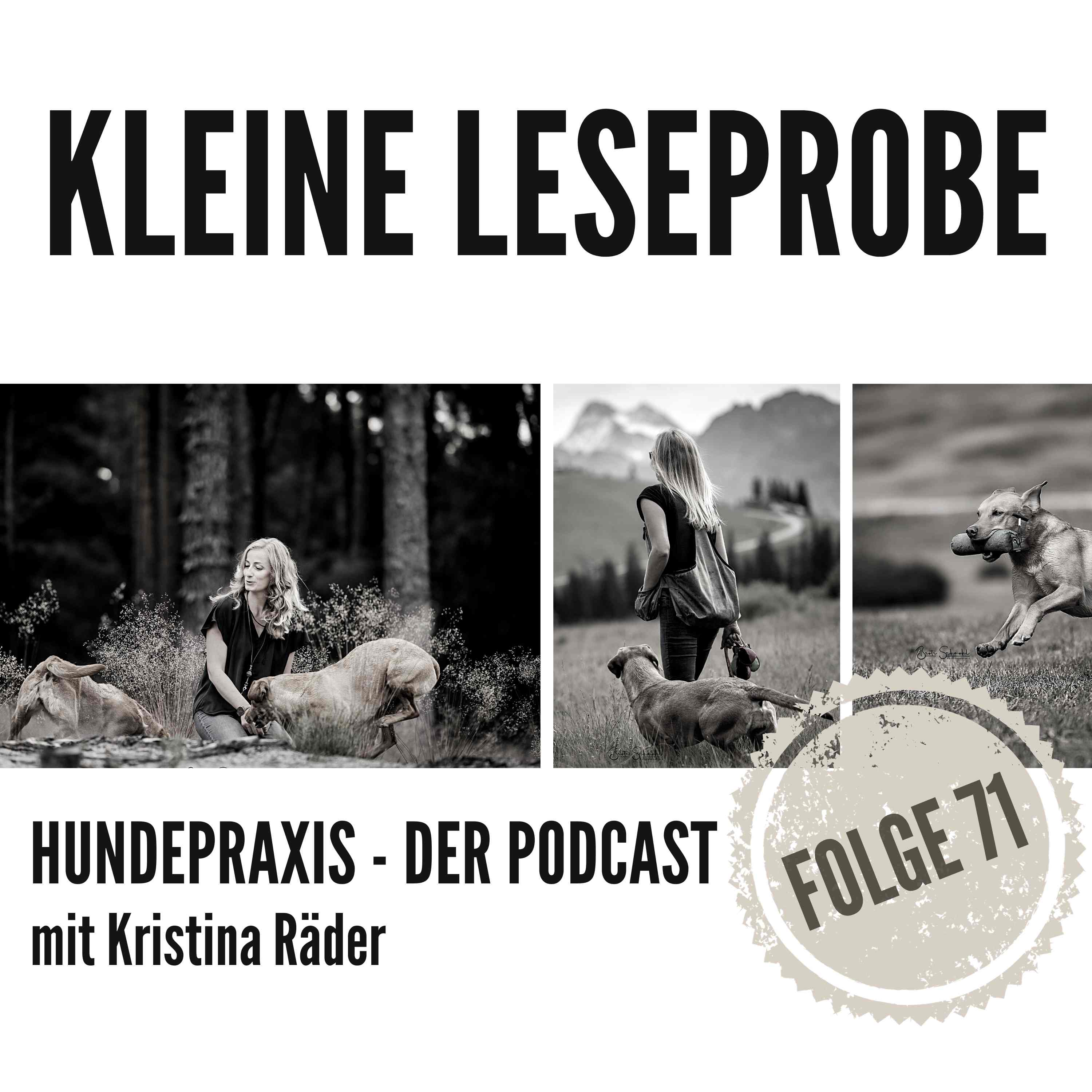 Hundepraxis - der Podcast