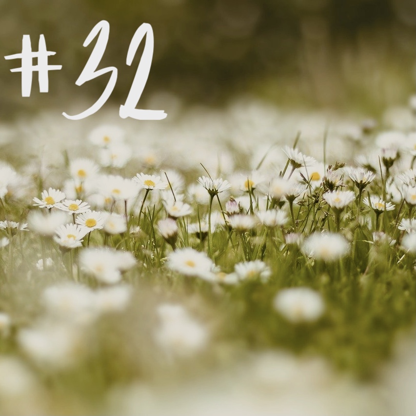 #32 - Kohl & Gänseblümchen episode artwork