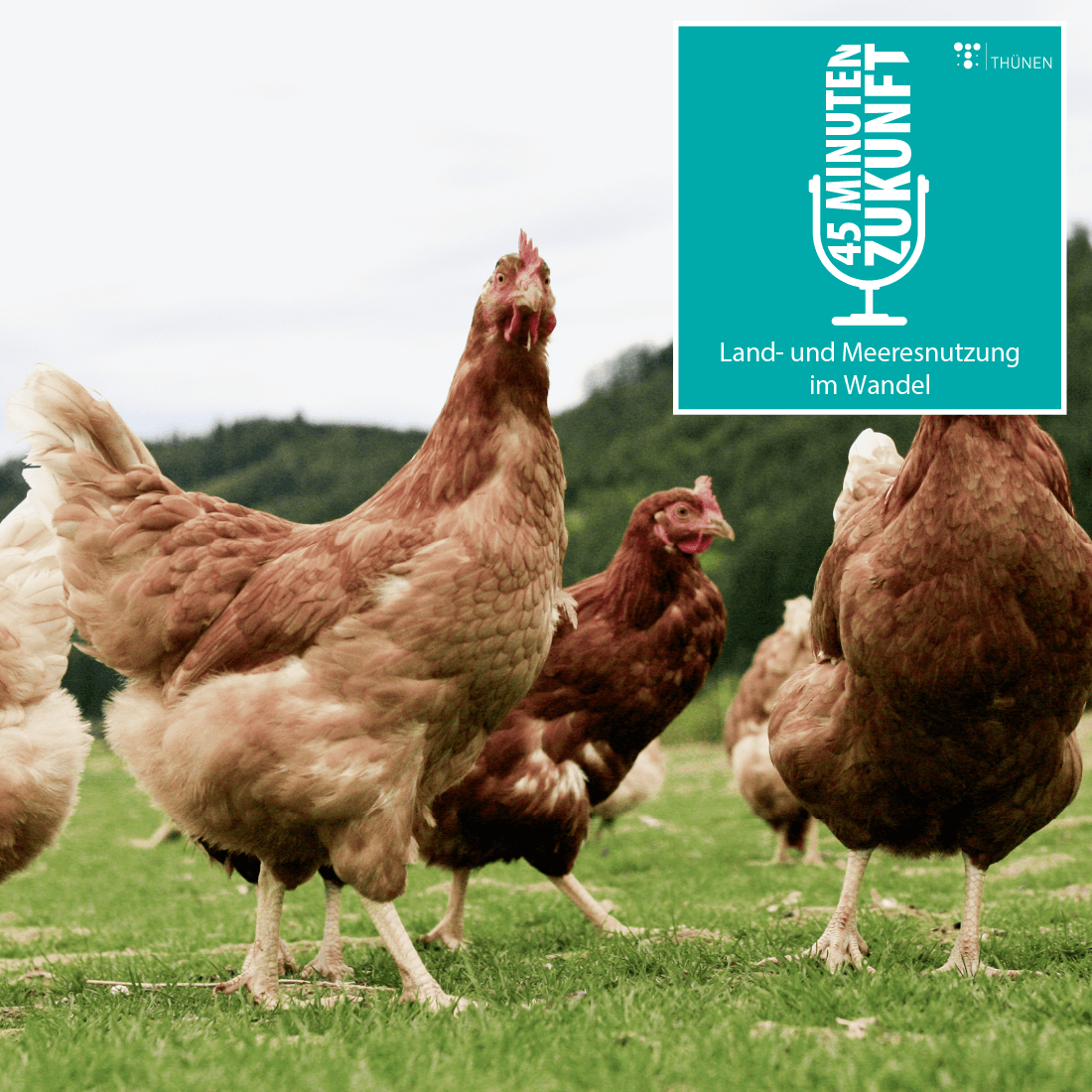 45 Minuten Zukunft. Land- und Meeresnutzung im Wandel