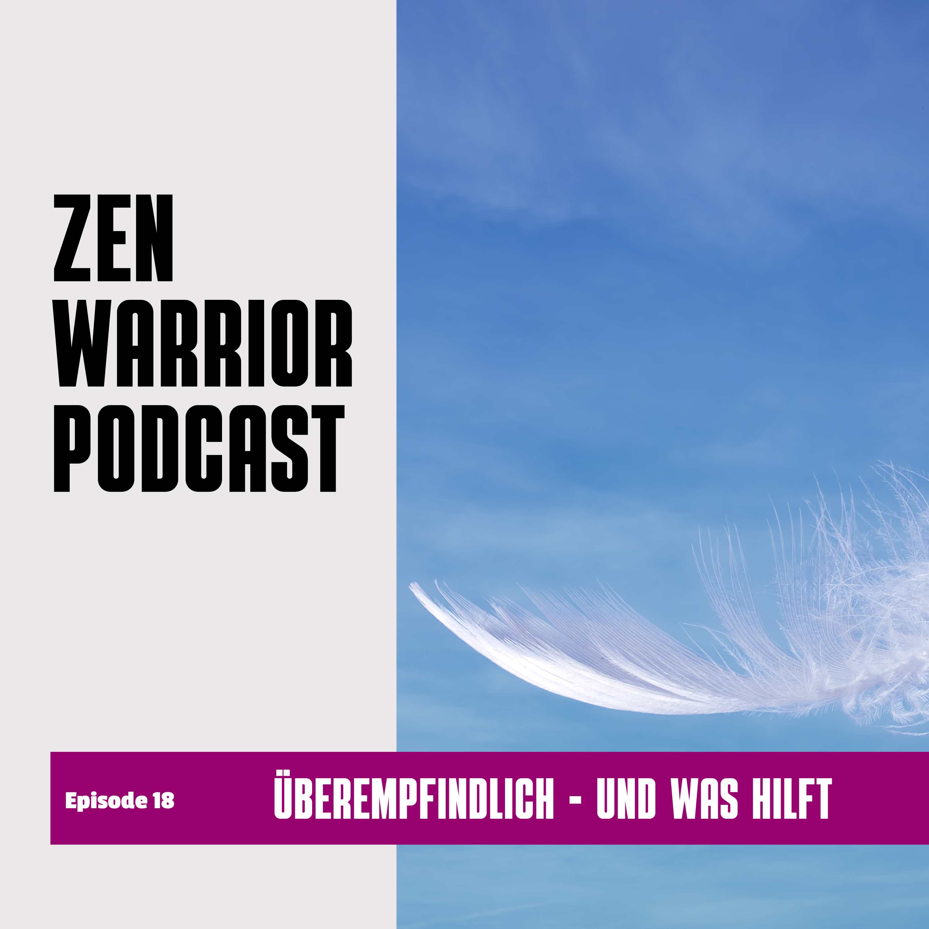 The Zen Warrior Podcast