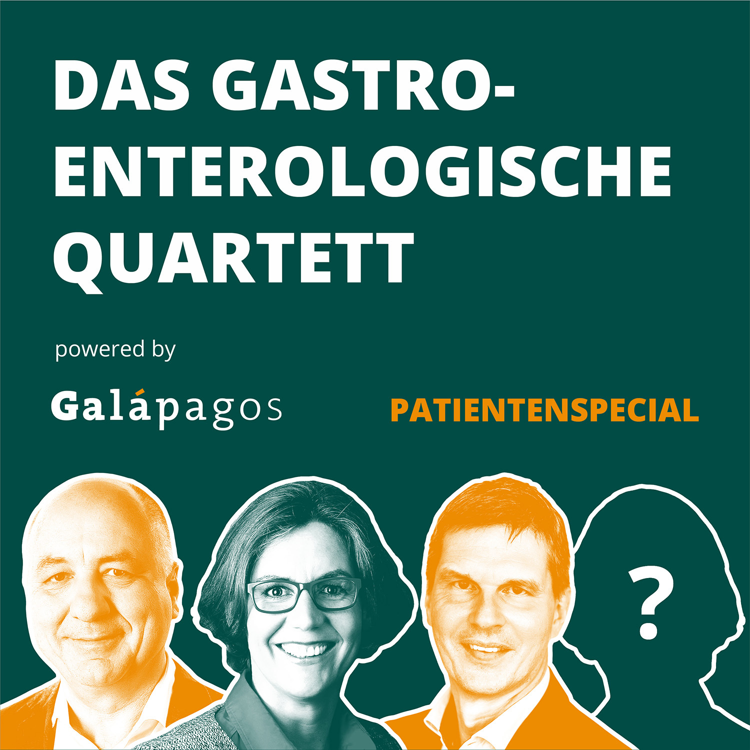 Das Gastroenterologische Quartett