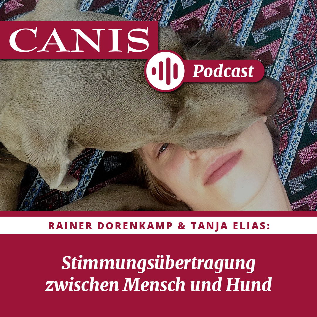 Der CANIS-Podcast – Hundeexpert:innen ausgefragt