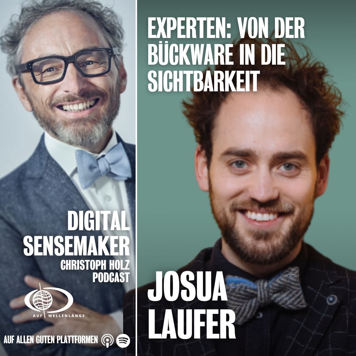 Digital Sensemaker | Der Podcast für Digitalisierung & Zukunft