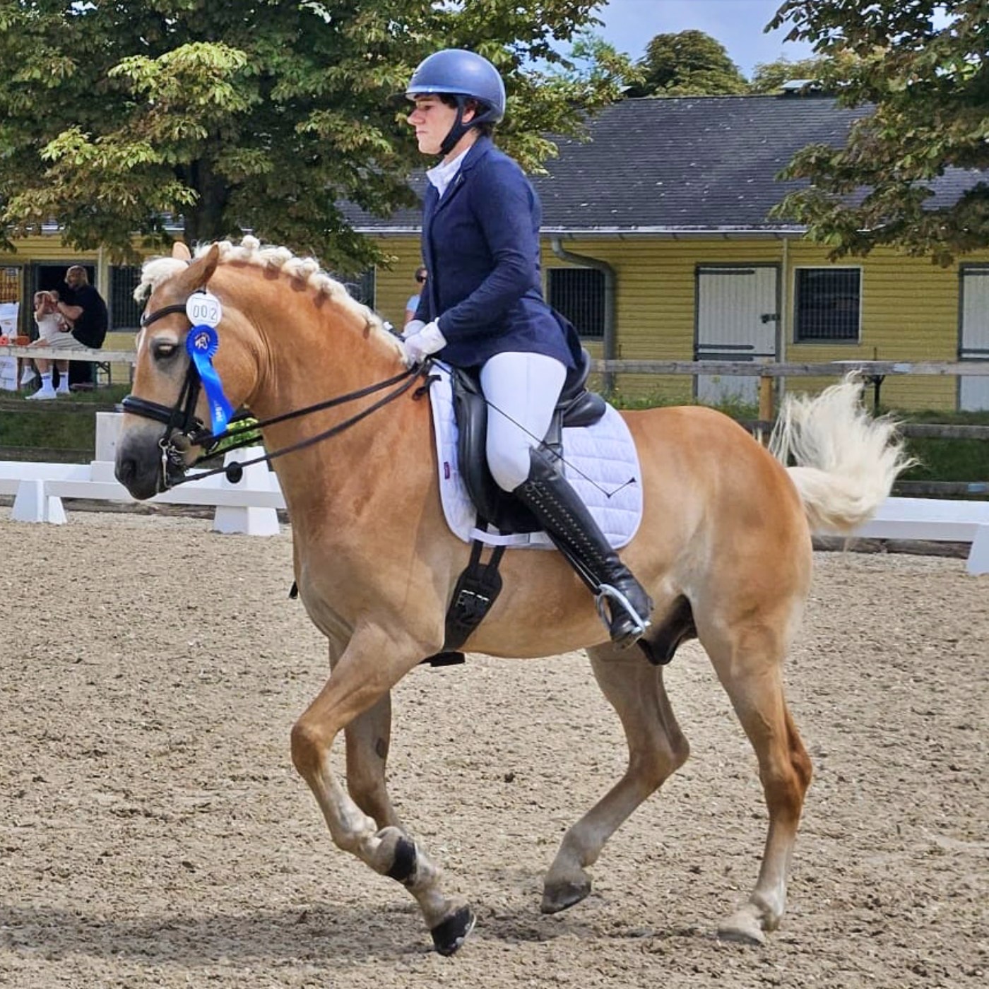 #365 Dieses Video veröffentlichen? Mutig!