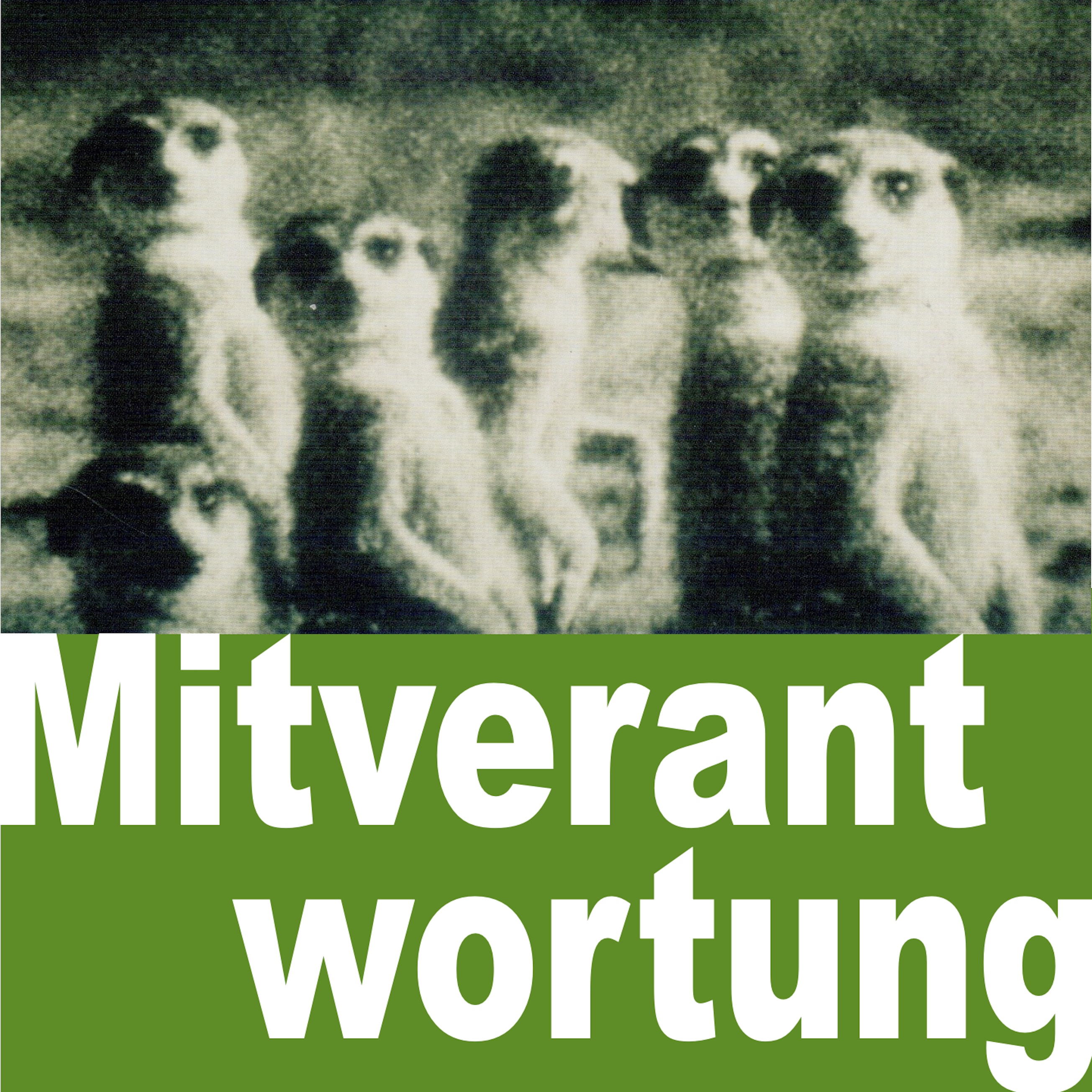 Mitverantwortung