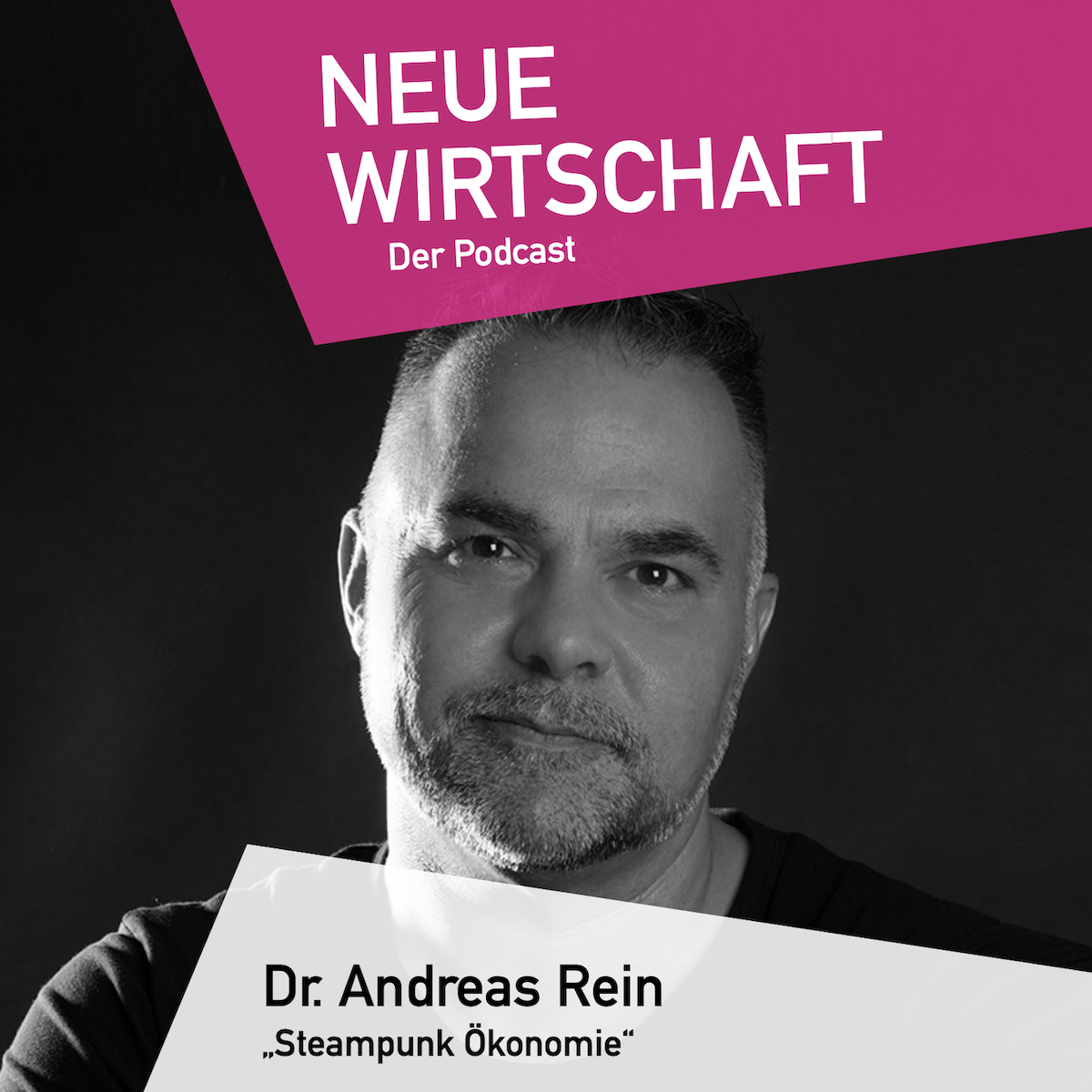 Neue Wirtschaft - Der Podcast