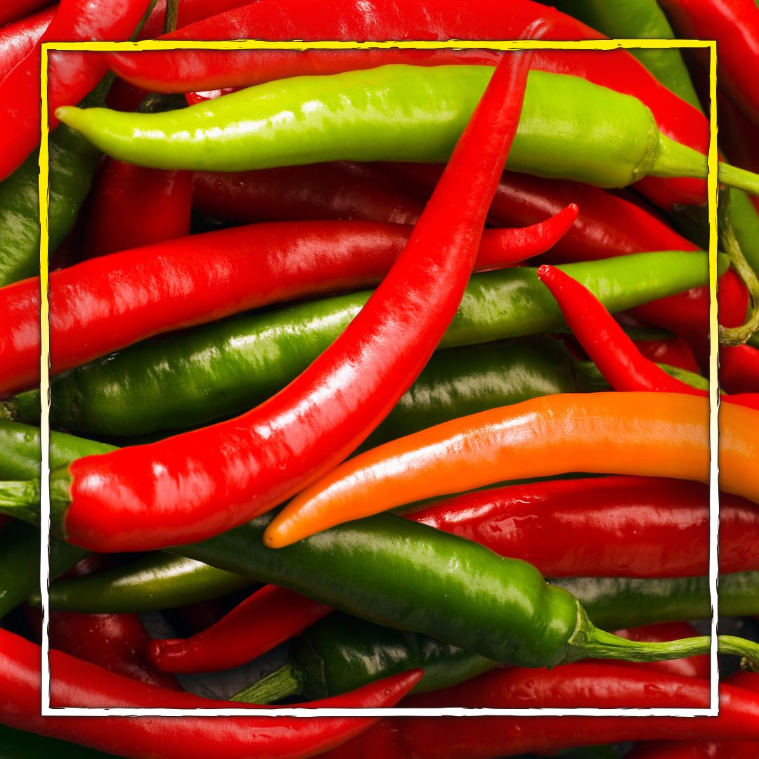 Lasst uns Chilis anbauen