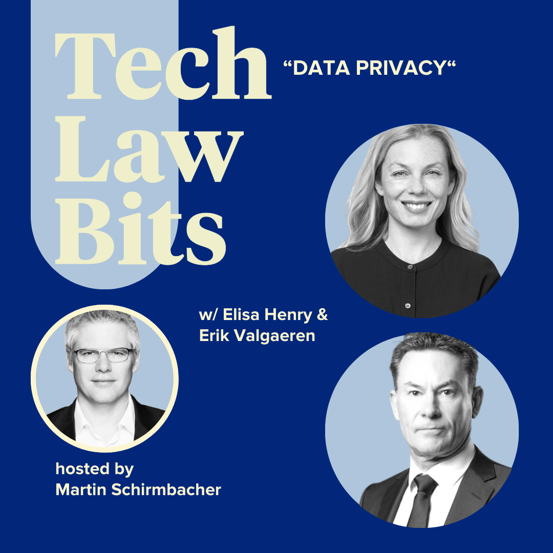 Tech Law Bits