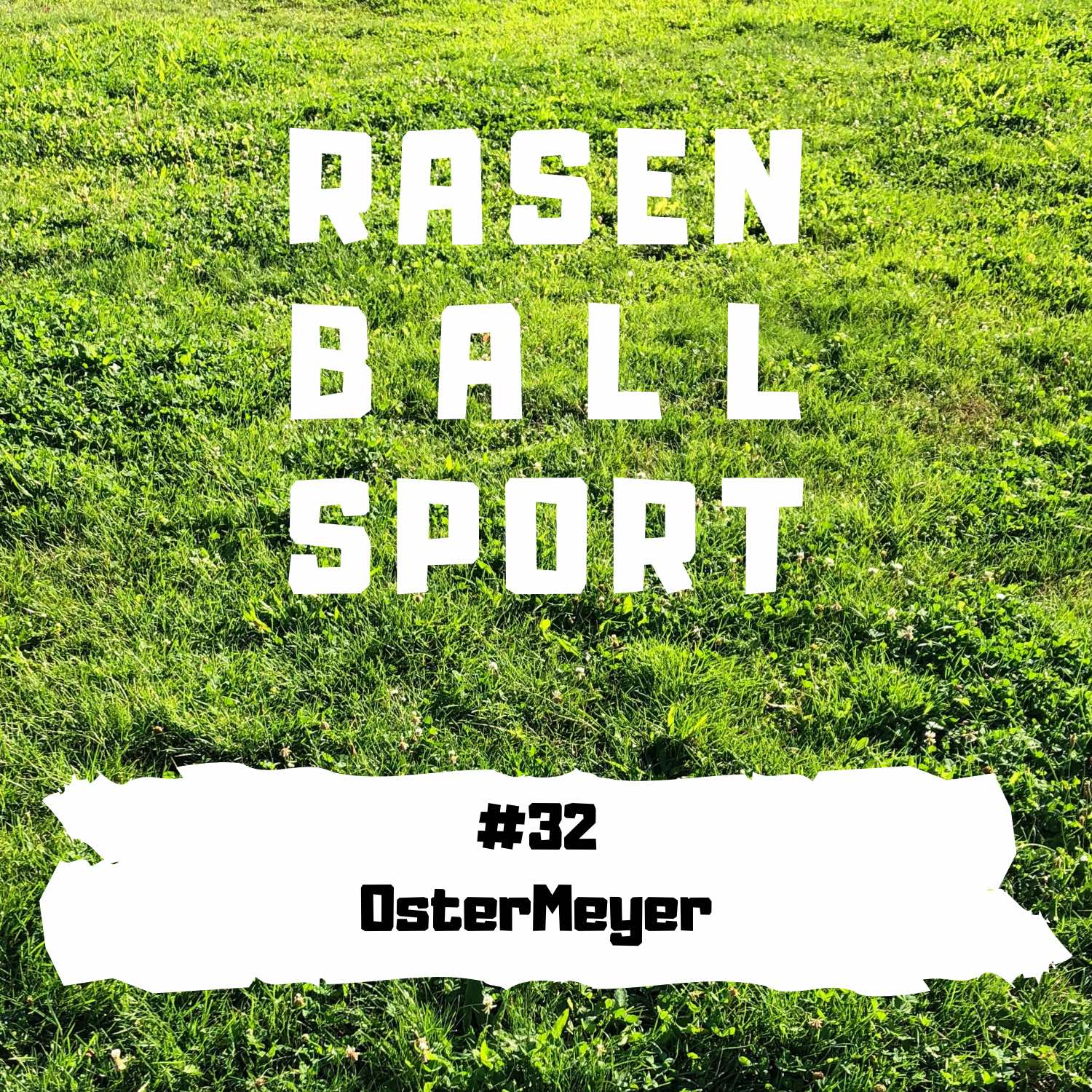 RASENBALLSPOTT