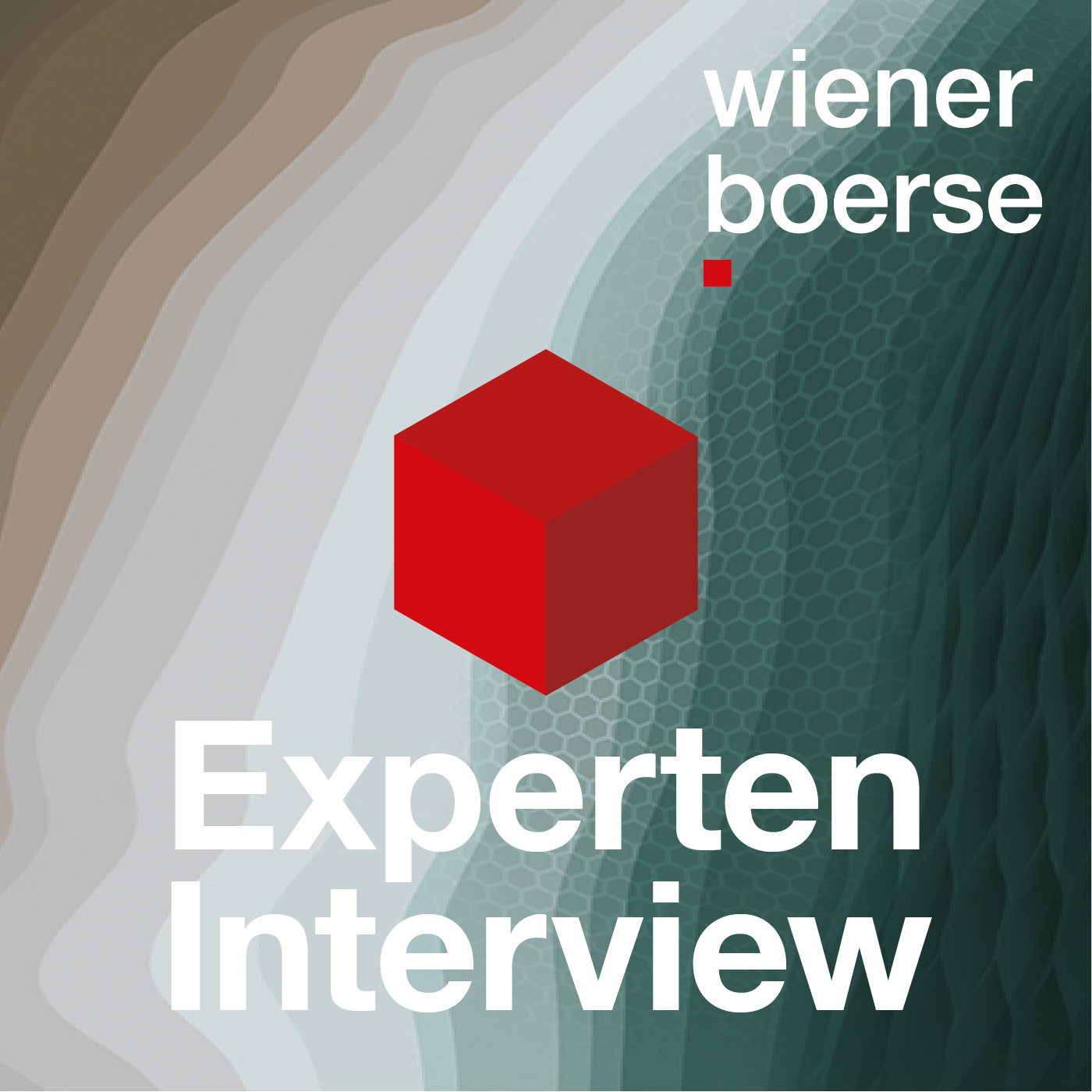 Sind Aktien teuer oder gibt es noch Chancen? Wolfgang Matejka zur Finanzbranche und Übernahmen (Immofinanz S Immo) episode artwork
