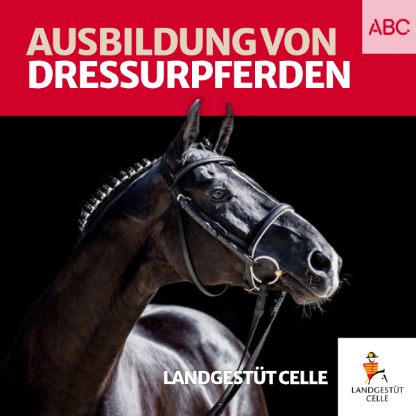 Landgestüt Celle - Der Podcast