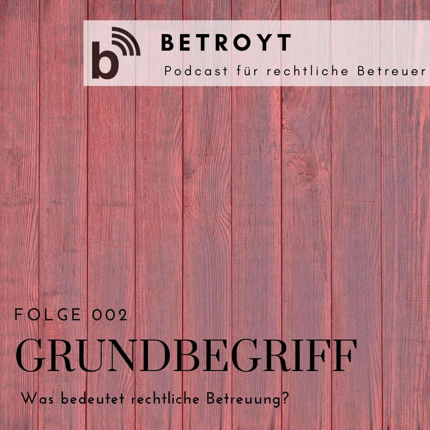 Folge 002 - Was ist rechtliche Betreuung