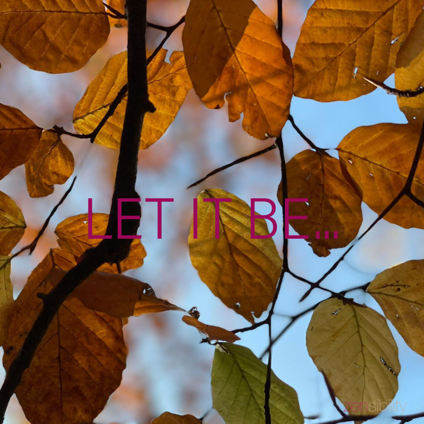 ZENsibility 🌸 - neurodivergente Menschlichkeit energetisch, achtsam, bewusst (er)leben