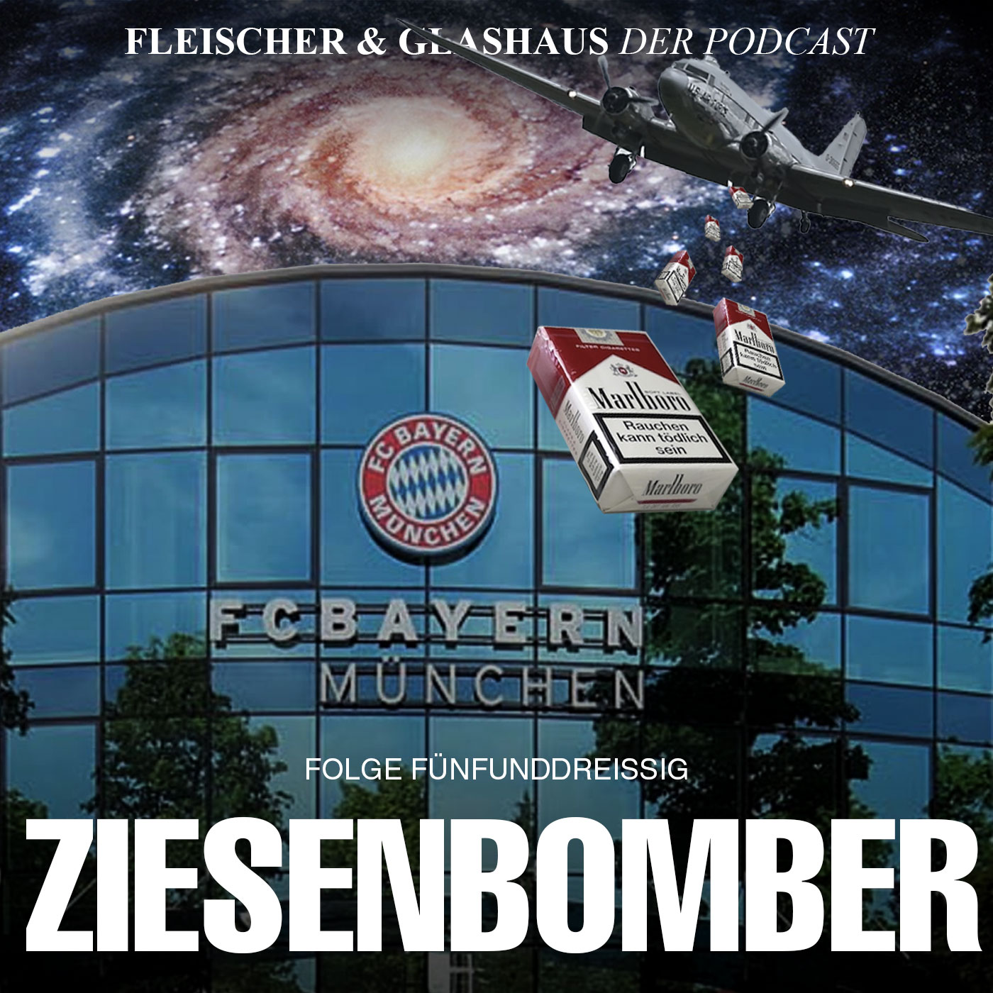Fleischer & Glashaus