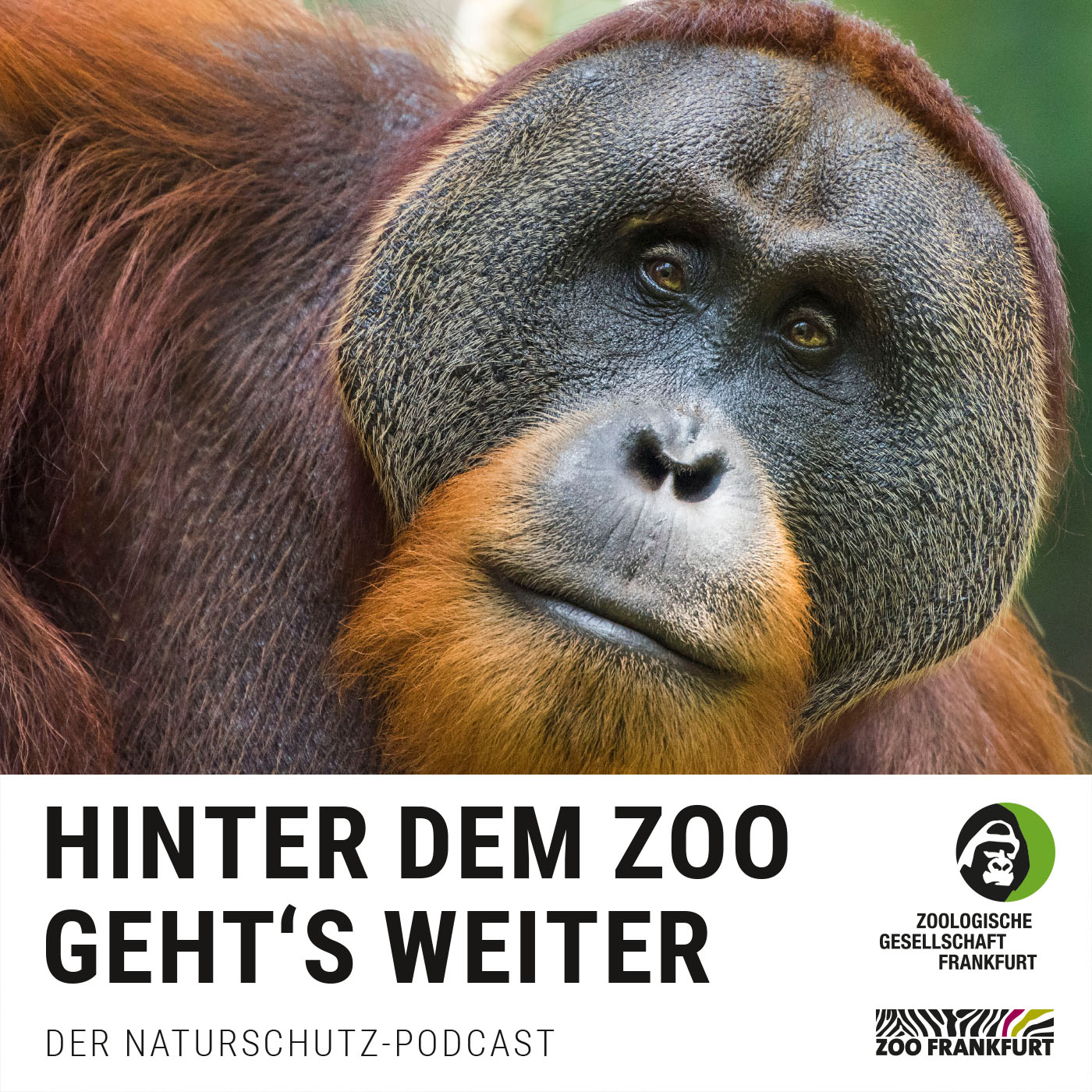 Hinter dem Zoo geht's weiter - Der Naturschutzpodcast aus Frankfurt