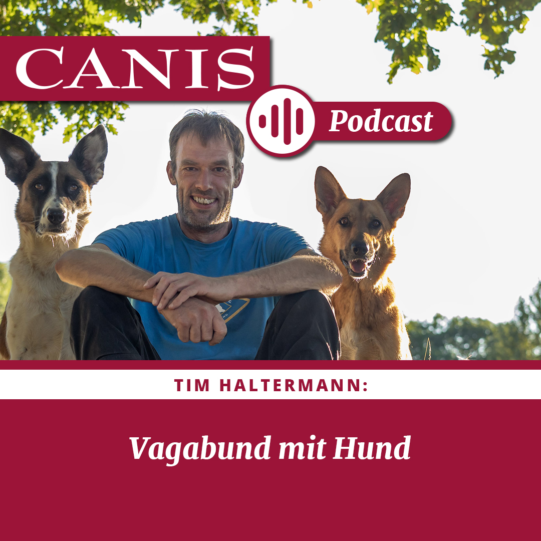 Der CANIS-Podcast – Hundeexpert:innen ausgefragt