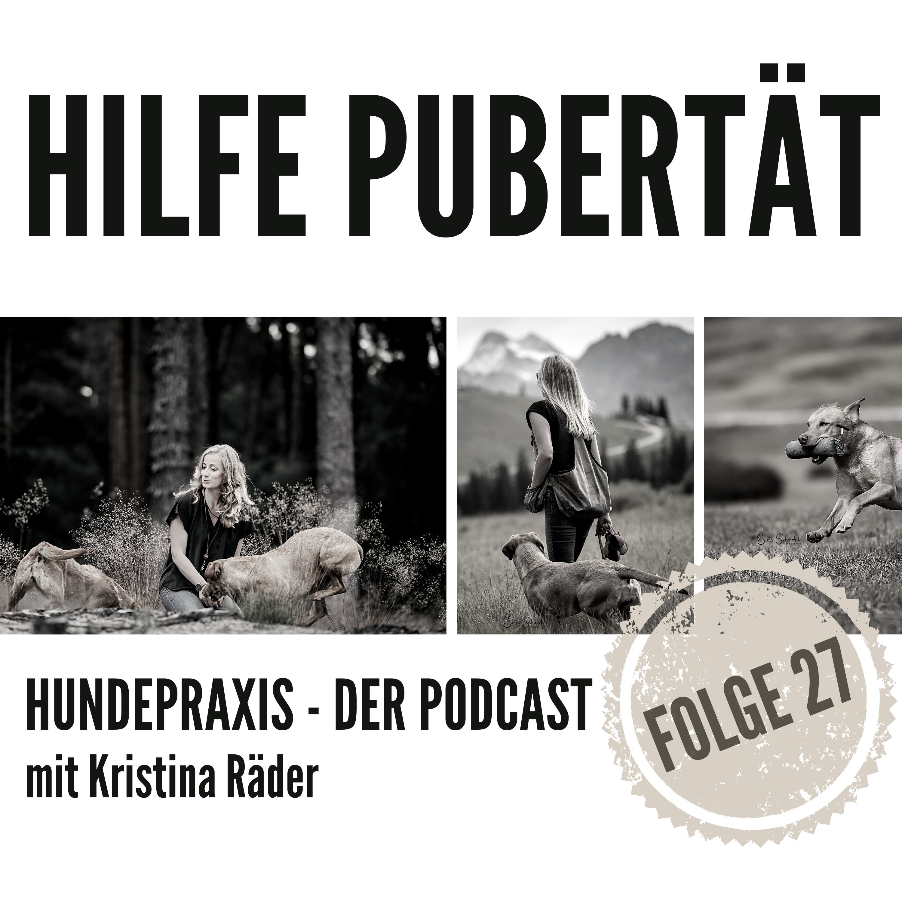Hundepraxis - der Podcast
