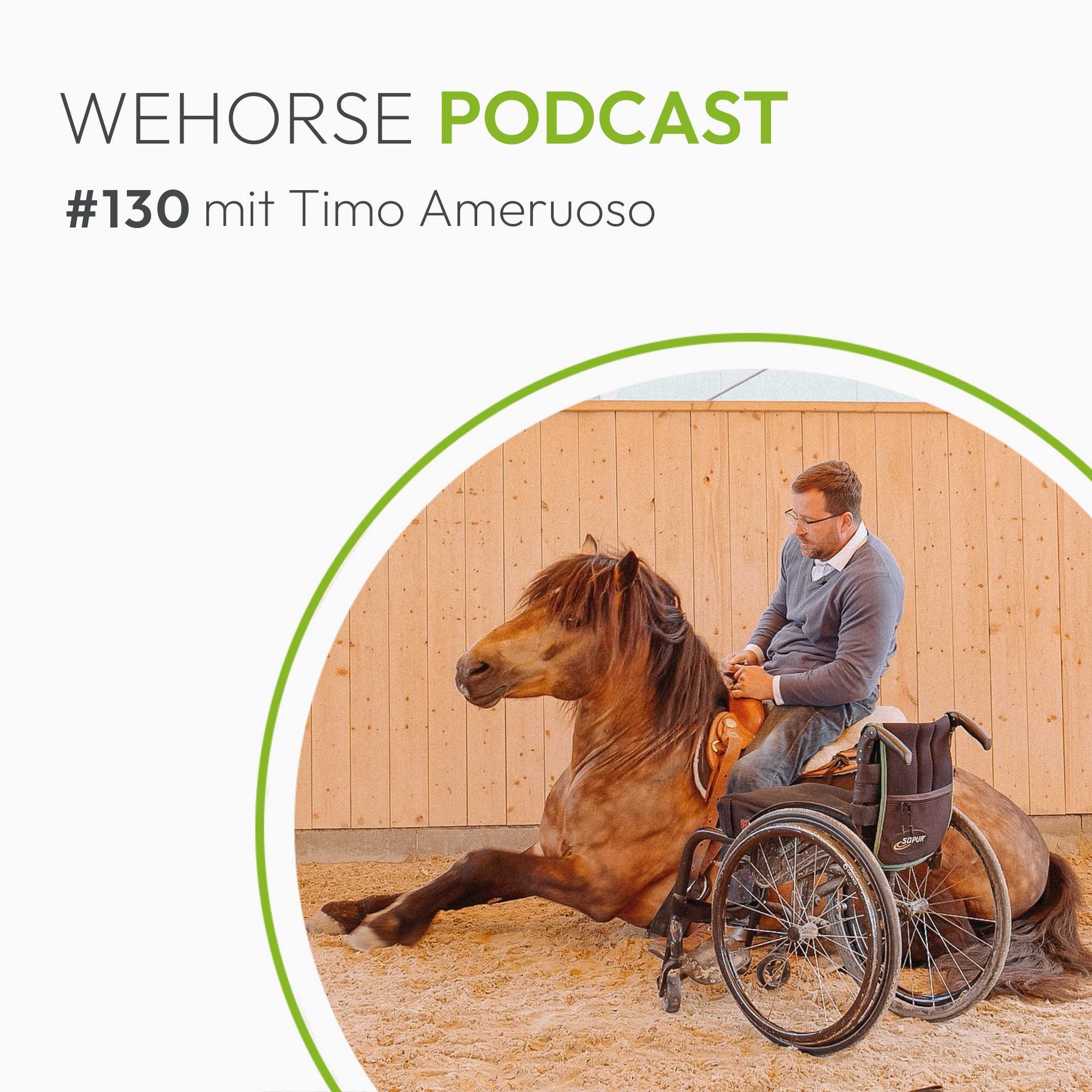 #130 Pferdemediator Timo Ameruoso: Der Blick hinter das Problem