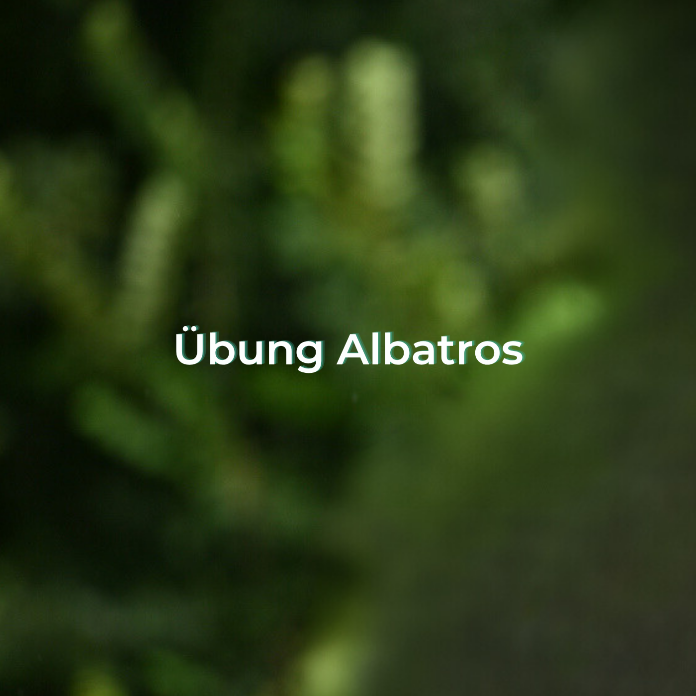 Übung Albatros