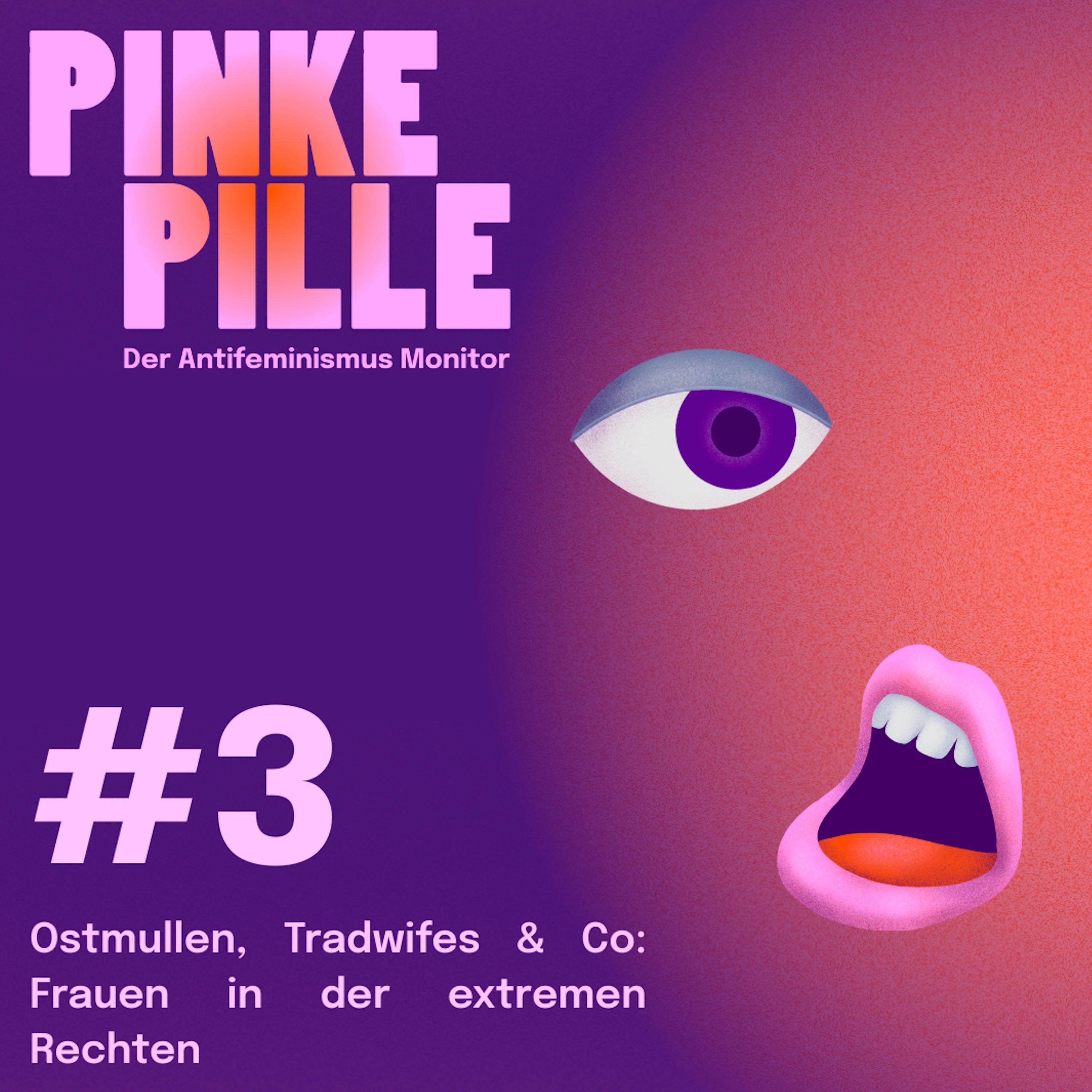 Pinke Pille - Der Antifeminismus Monitor