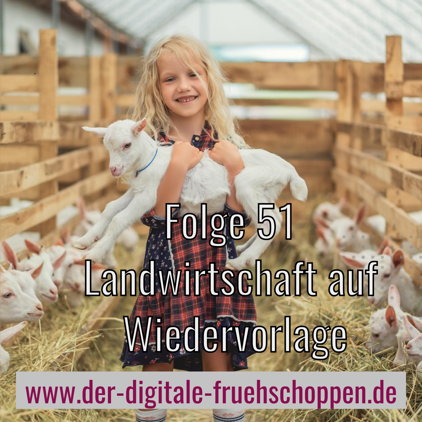 Der Digitale Frühschoppen