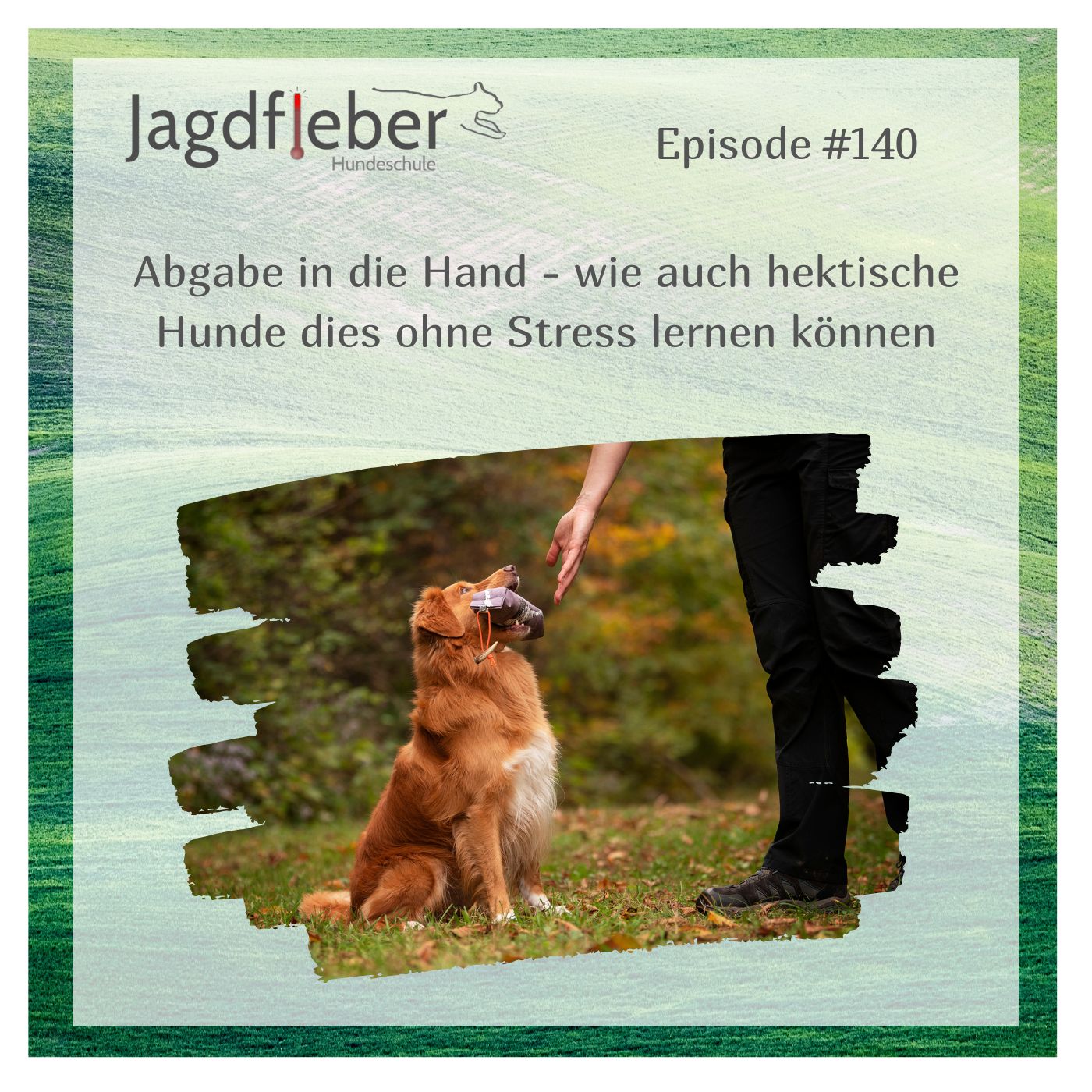 P140: Abgabe in die Hand – wie auch hektische Hunde dies ohne Stress lernen können episode artwork