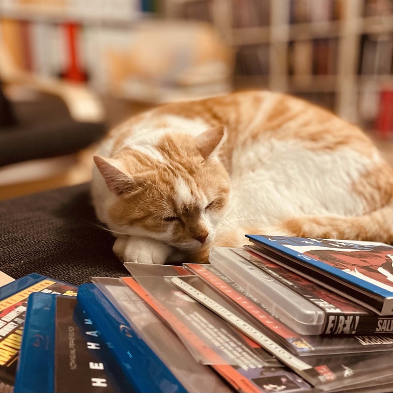 Spielfilmen - Der filmographische Podcast