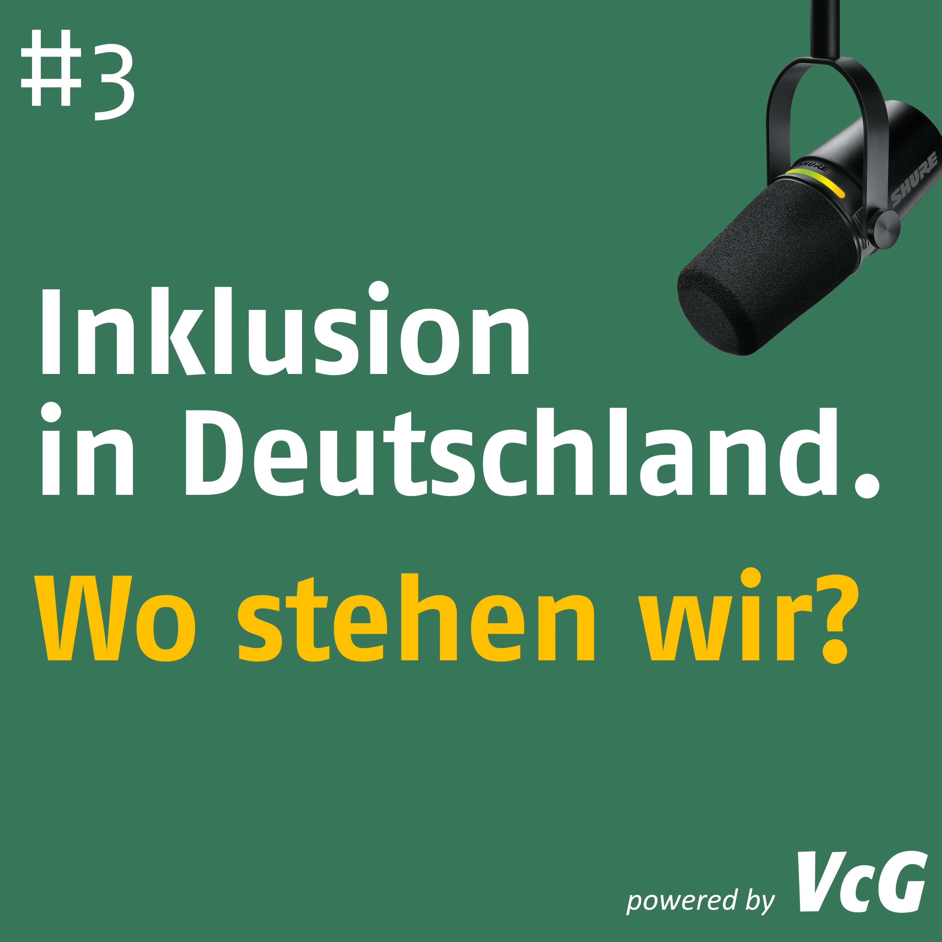 Folge 3: Inklusion und inklusiver Sport in Deutschland: Wo stehen wir?