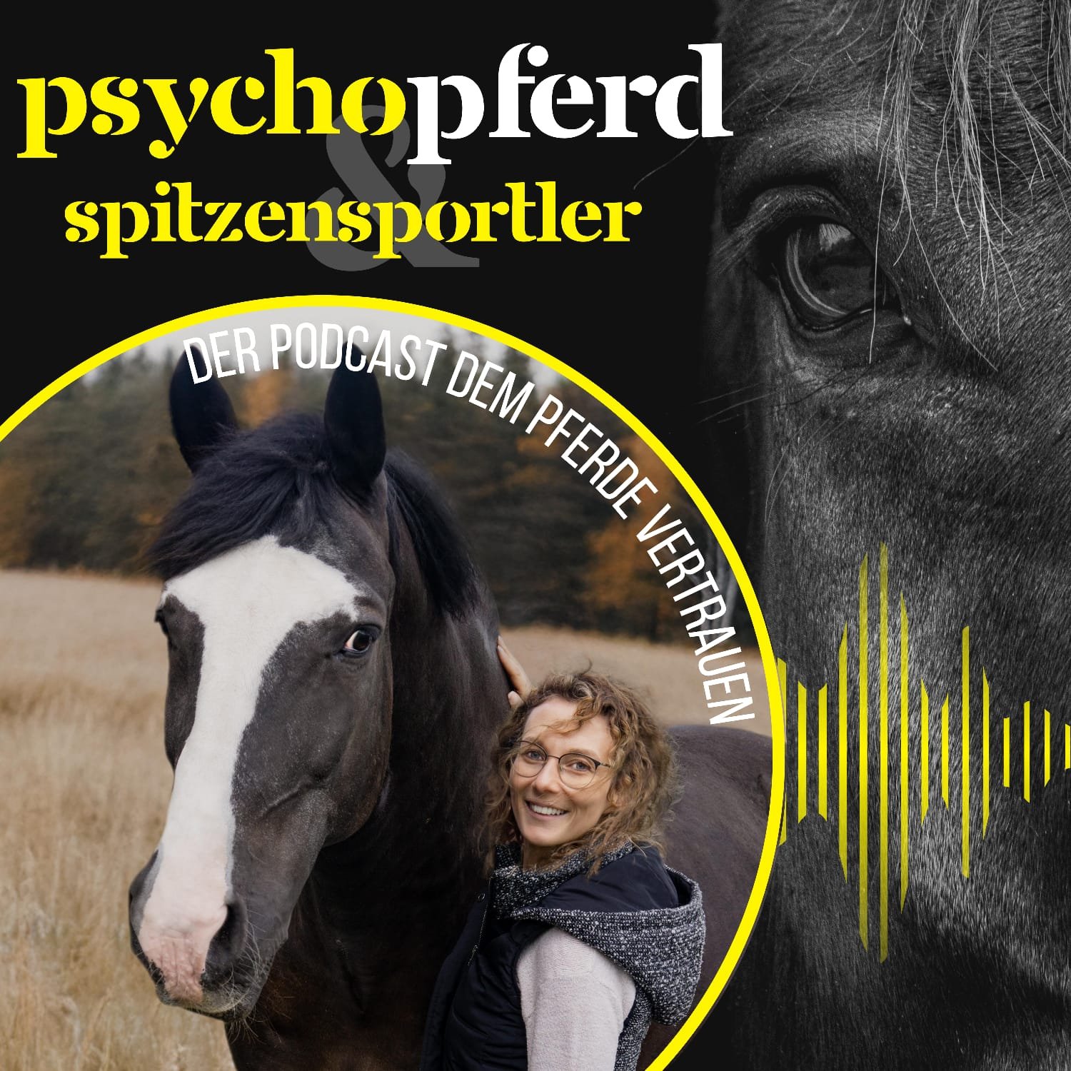 Hut ab, Helm auf - im Gespräch mit Vanessa Braun #035 - PsychoPferd & Spitzensportler episode artwork