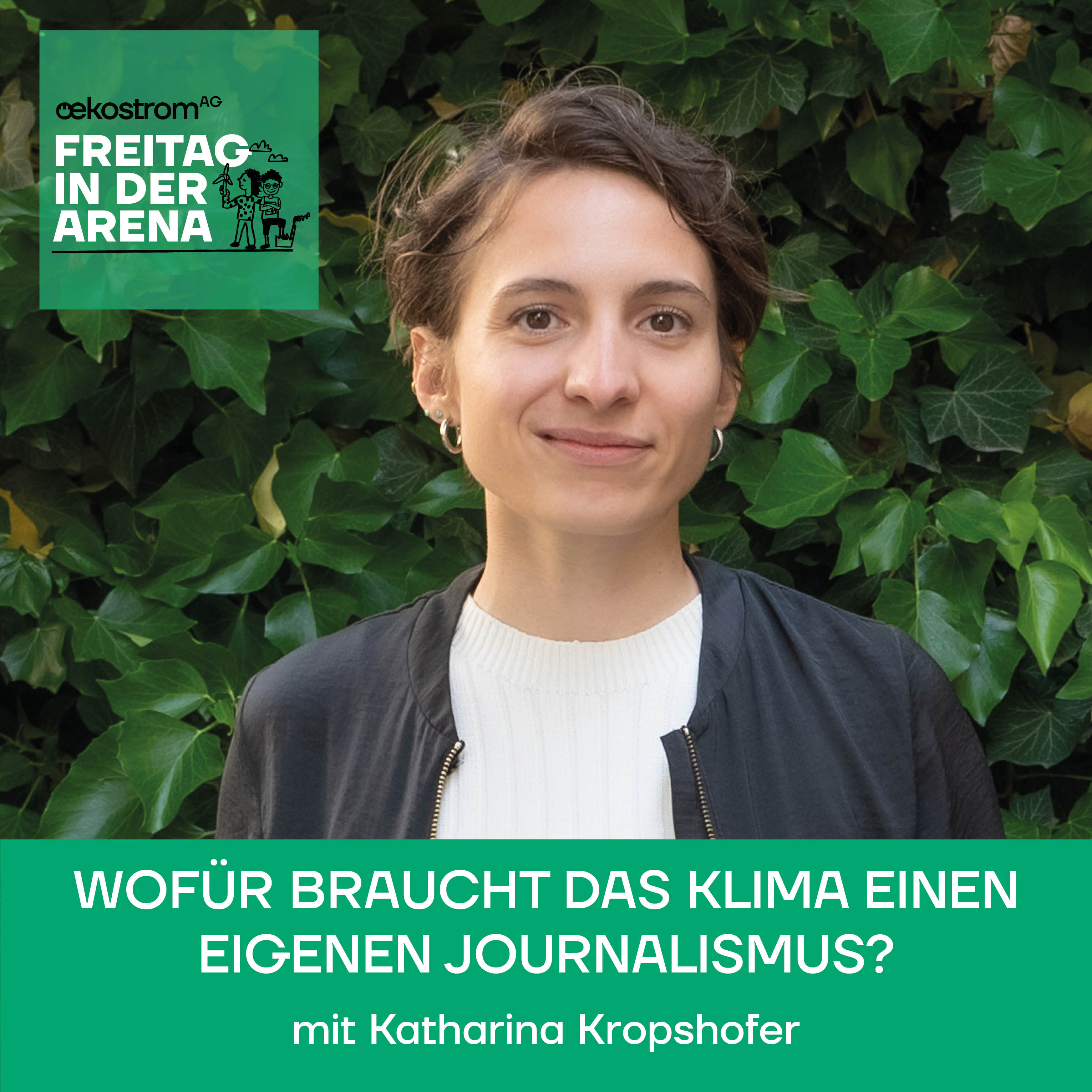 Freitag in der Arena - der oekostrom AG-Talk
