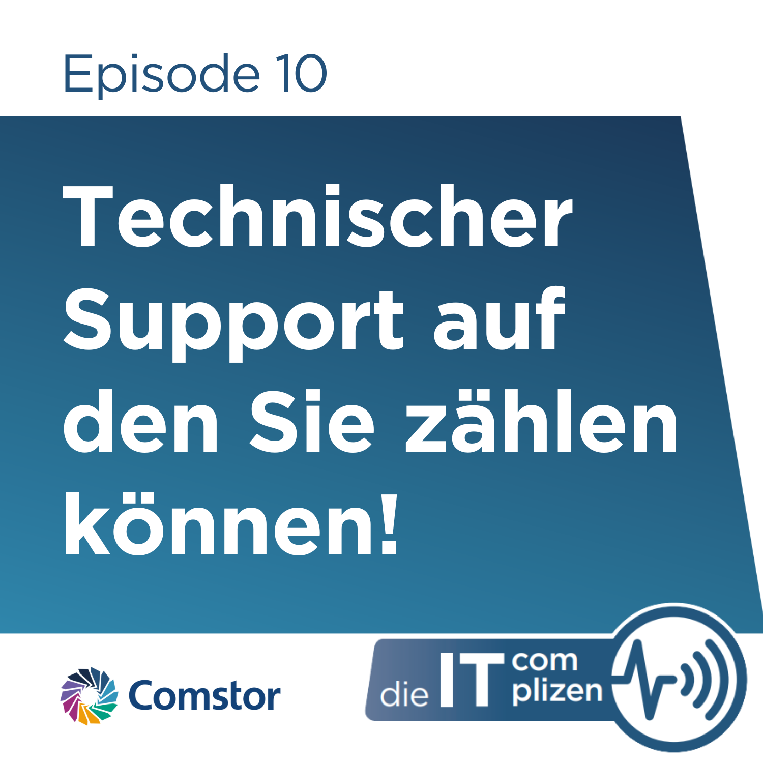 Comstor - Die IT Complizen