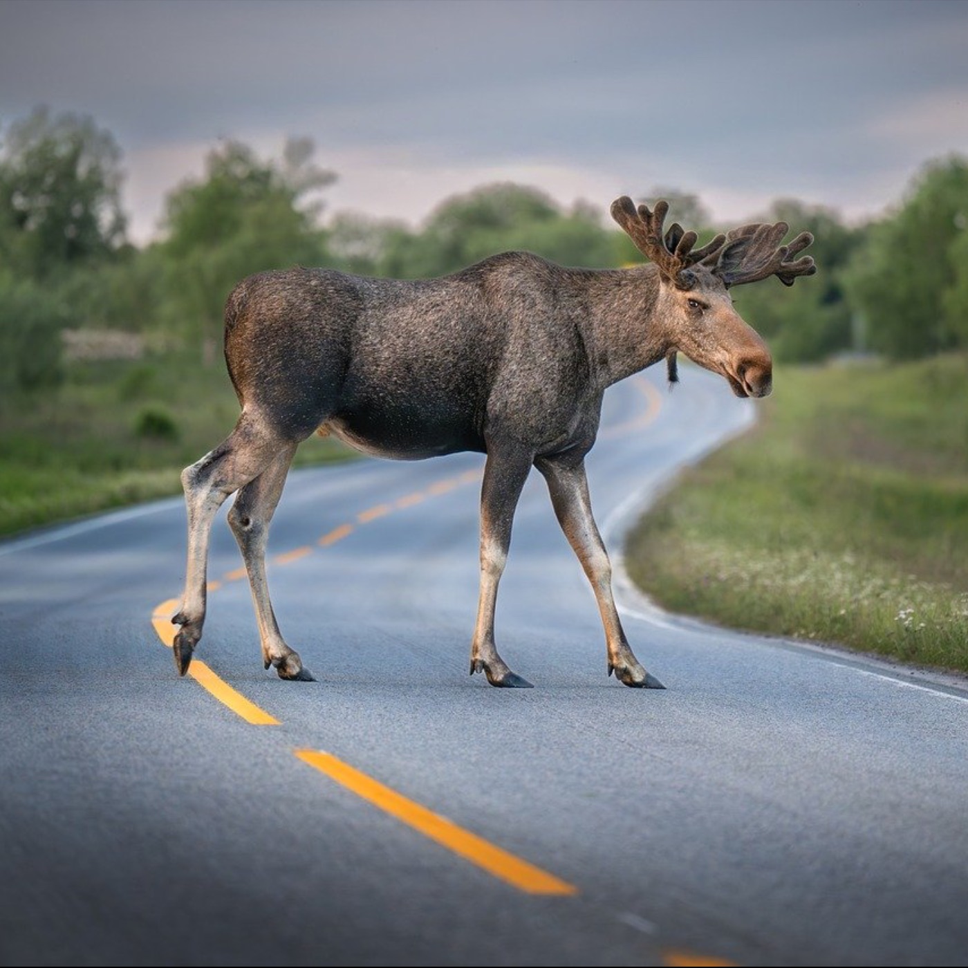 Weltaufgang - der Good News Podcast