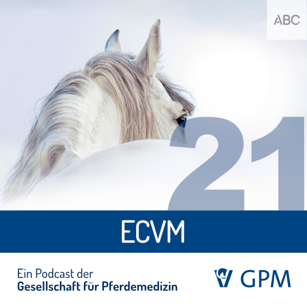 Pferdemedizin heute