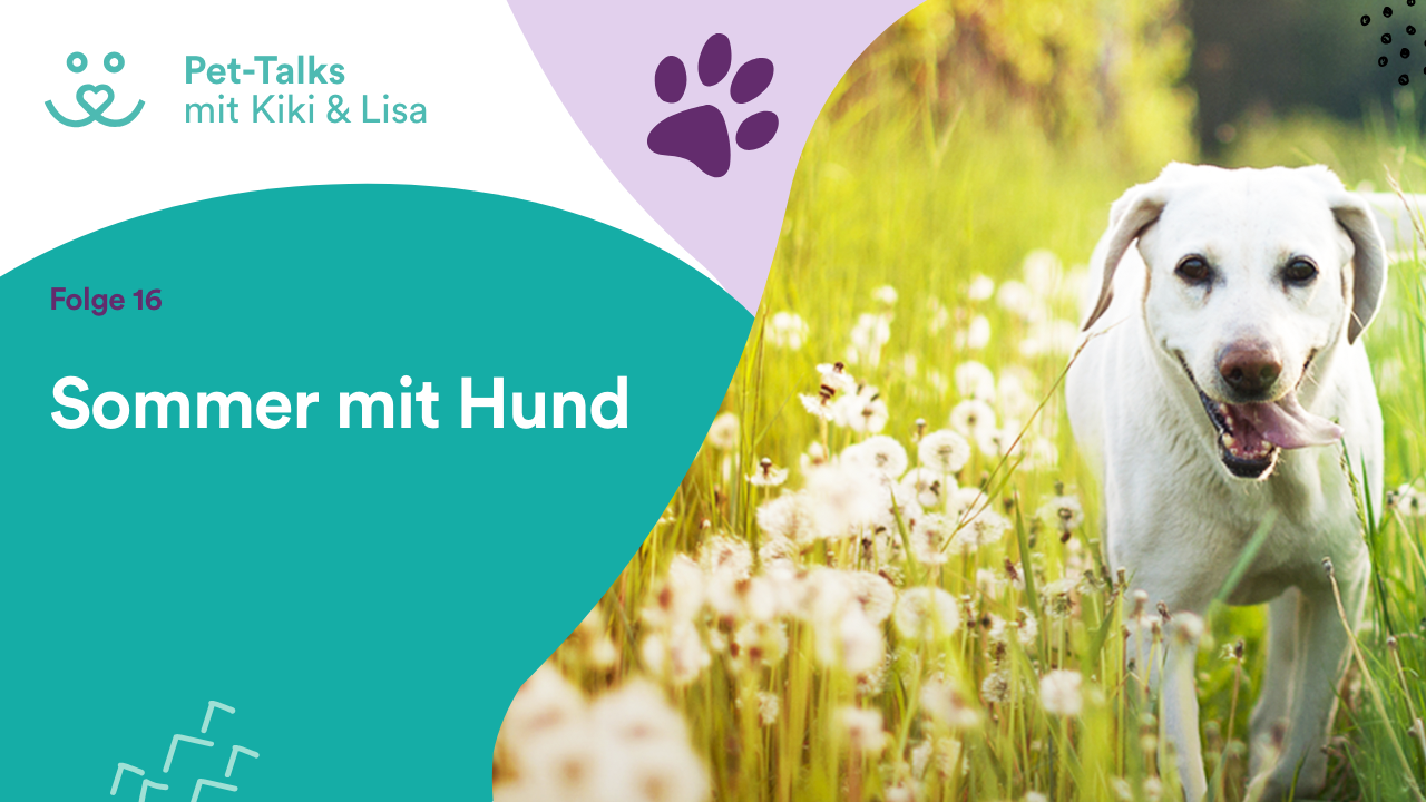 Pet-Talks mit Kiki & Lisa - der Hunde-Podcast von DeineTierwelt