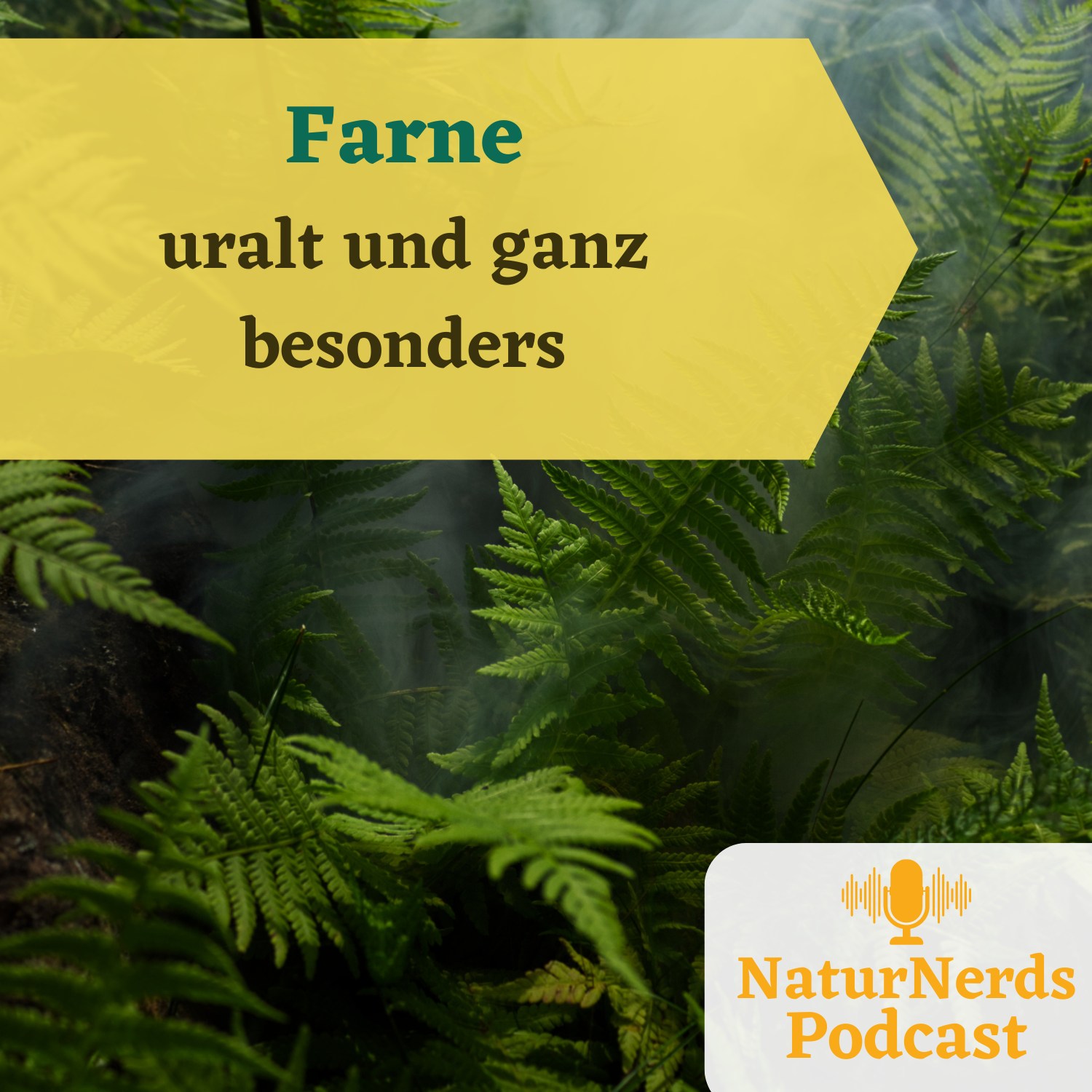 Farnpflanzen