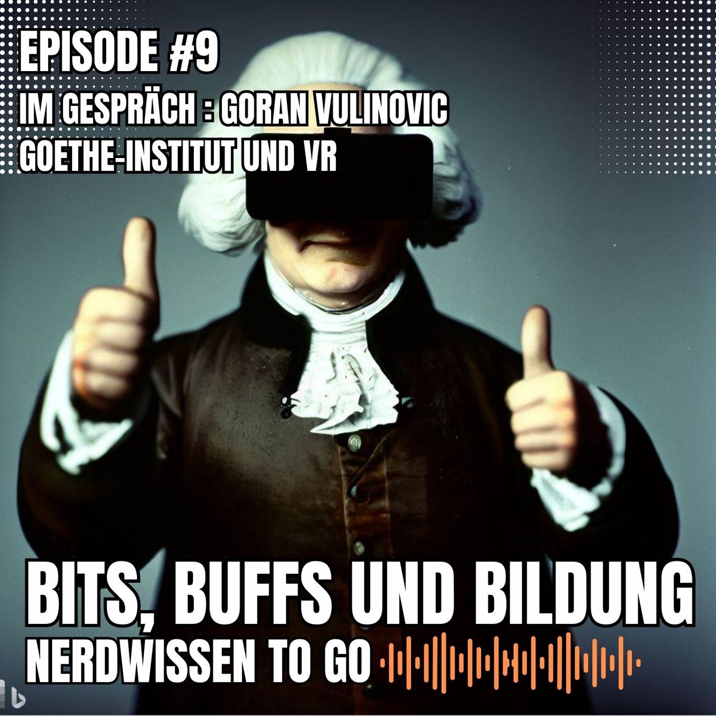 #9 Episode 9 - IM GESPRÄCH mit Goran Vulinovic - Goethe-Institut und VR