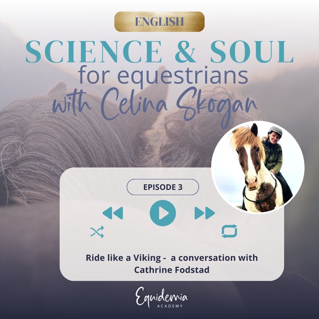 Horsefriends international