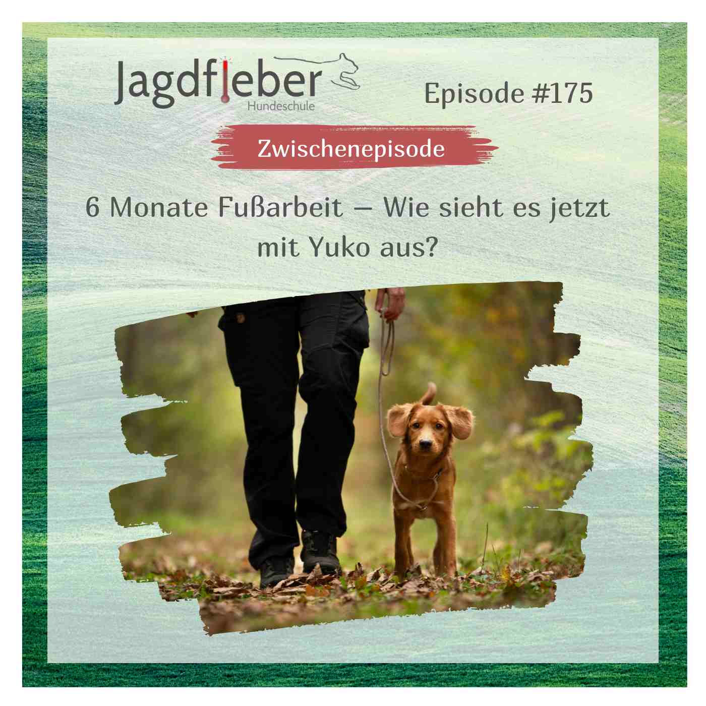 P175: 6 Monate Fußarbeit – Wie sieht es jetzt mit Yuko aus? episode artwork