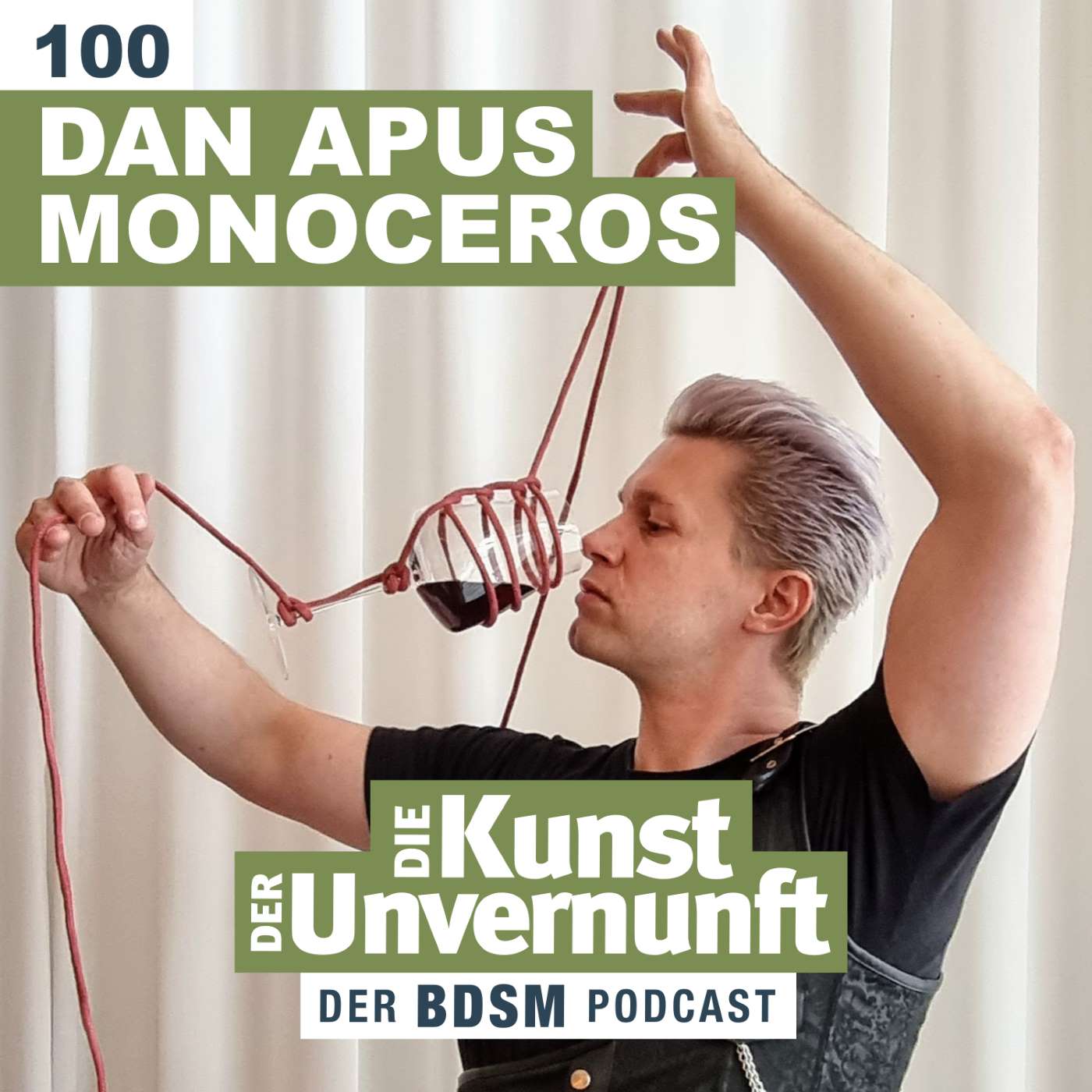 BDSM - Die Kunst der Unvernunft